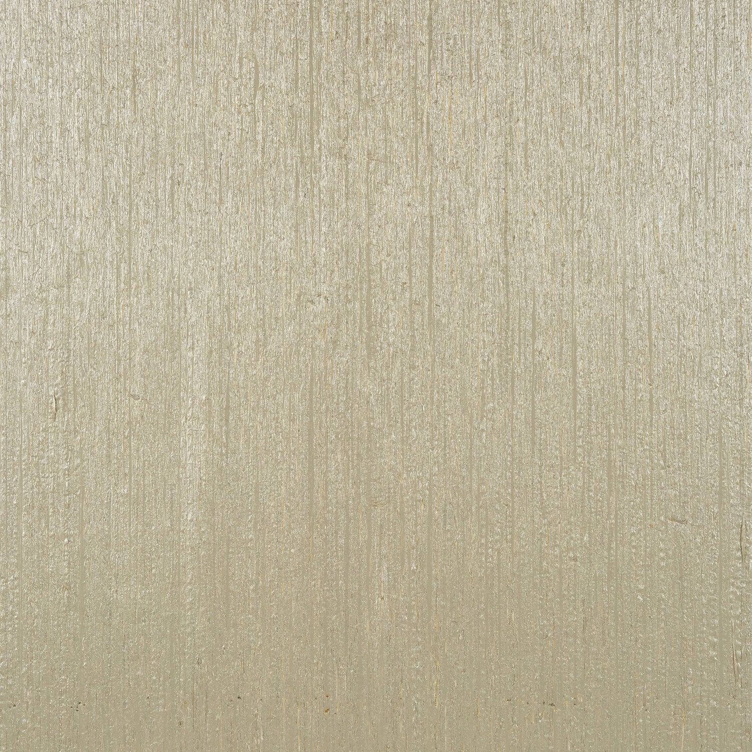 Nira wallpaper in pewter color - pattern number T4047 - by Thibaut in the Surface Resource collection