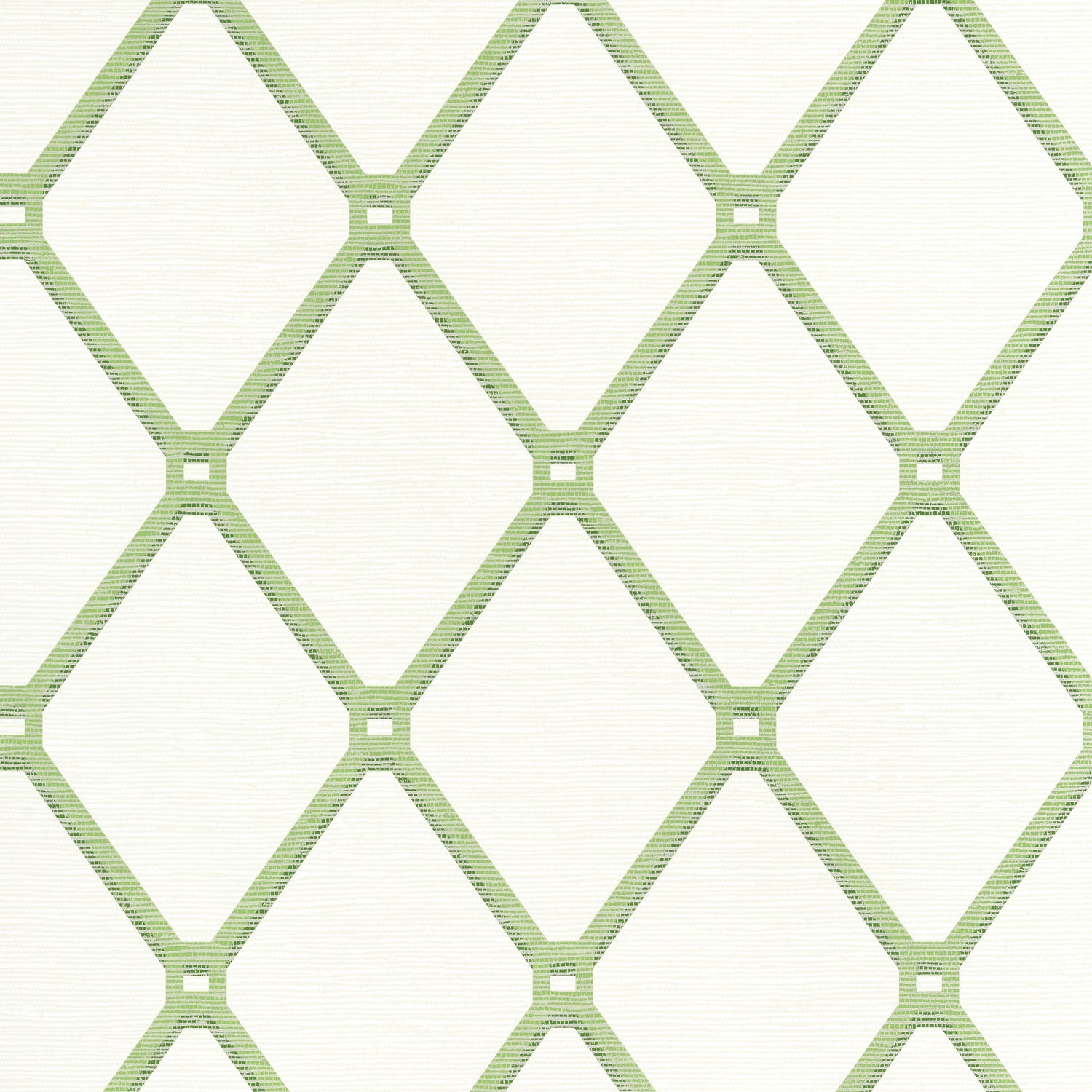 Easom Trellis wallpaper in green color - pattern number T4051 - by Thibaut in the Surface Resource collection