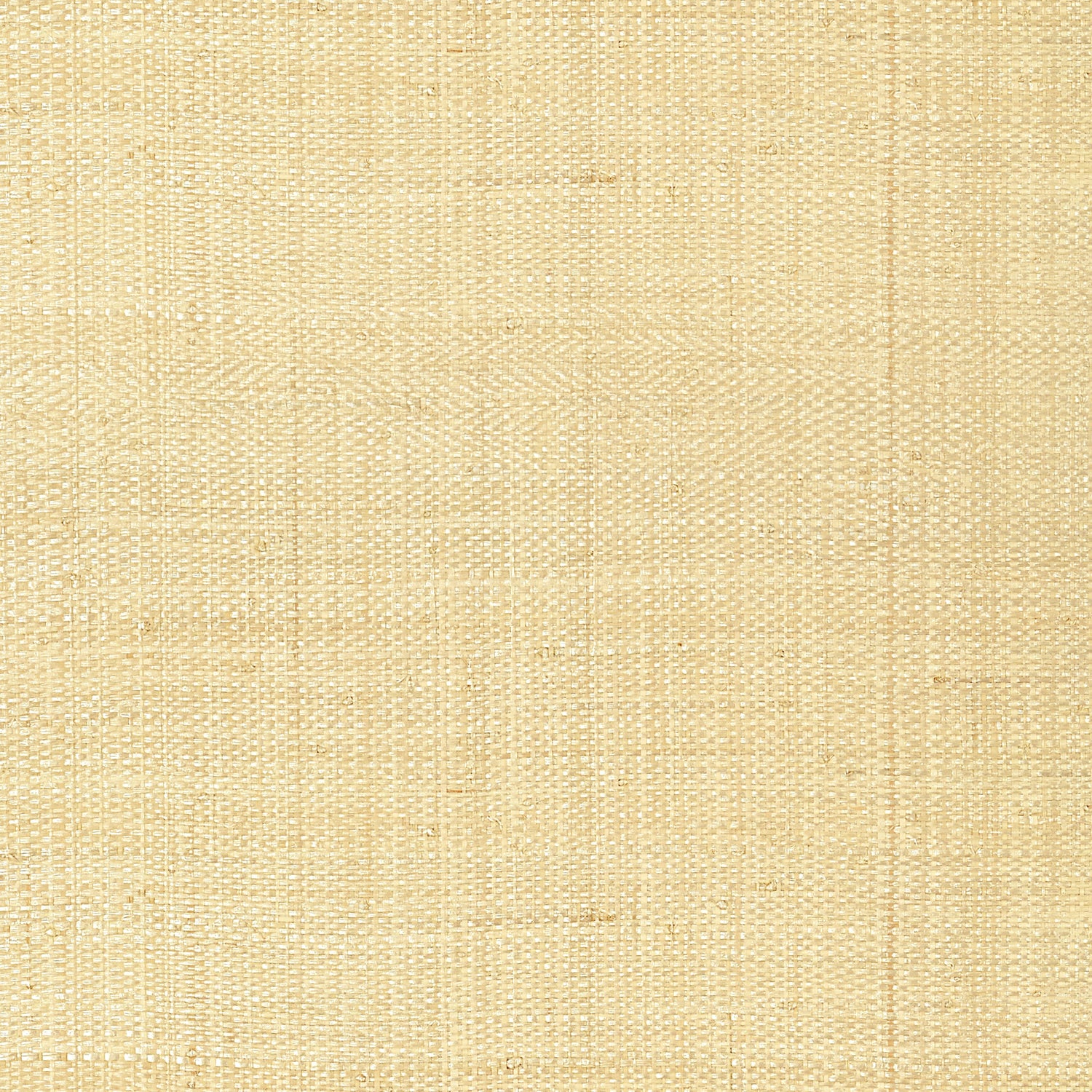 Pearl Bay fabric in off white color - pattern number T41106 - by Thibaut in the Grasscloth Resource Volume 3 collection