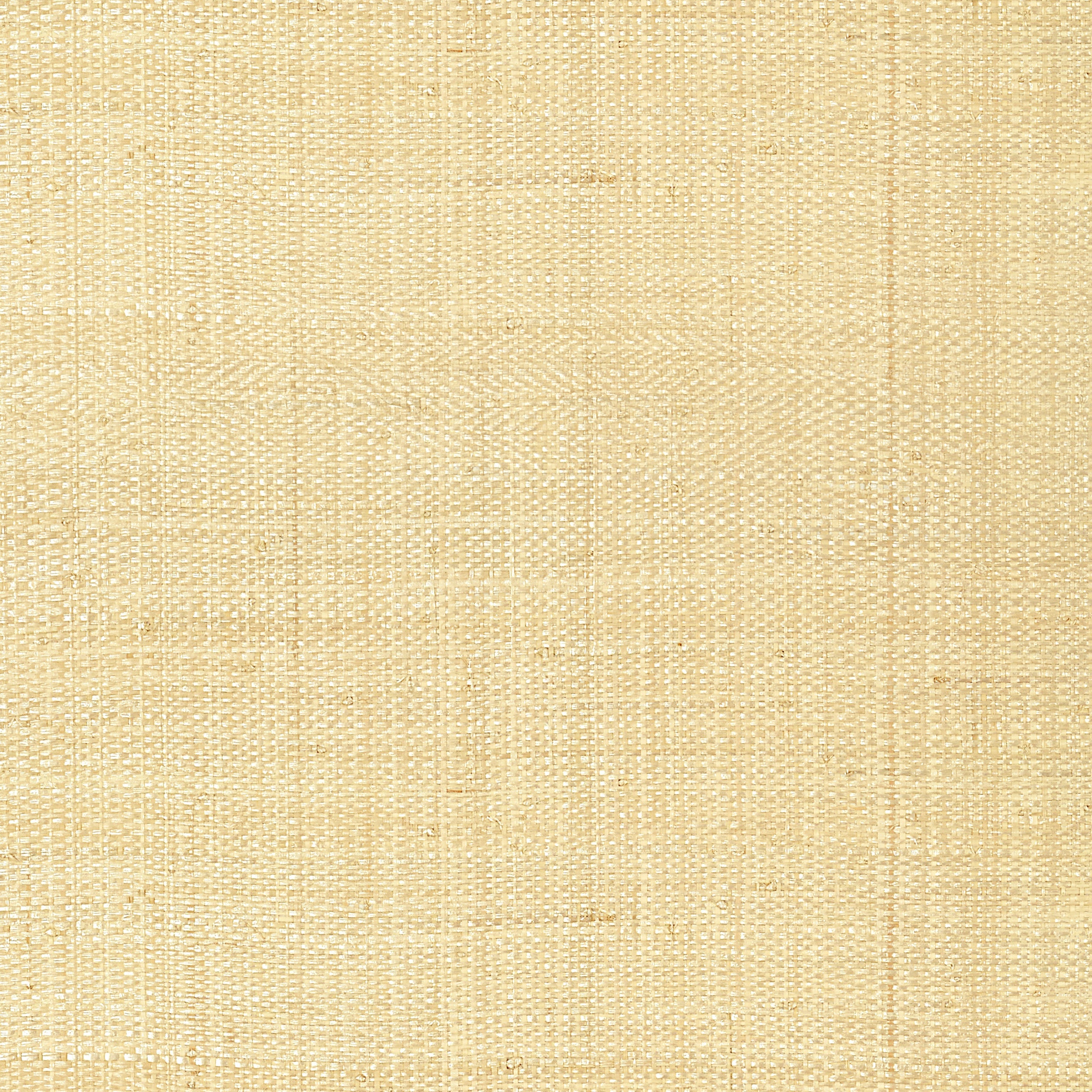 Pearl Bay fabric in off white color - pattern number T41106 - by Thibaut in the Grasscloth Resource Volume 3 collection