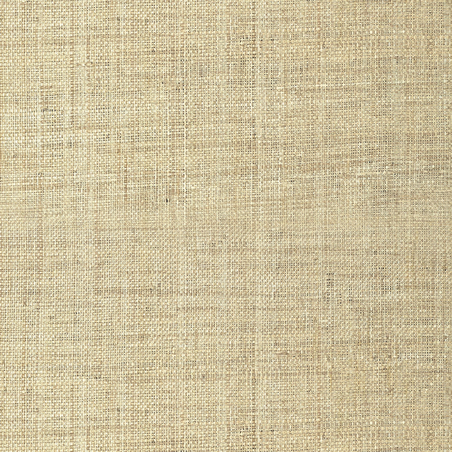 Pearl Bay fabric in tan color - pattern number T41107 - by Thibaut in the Grasscloth Resource Volume 3 collection