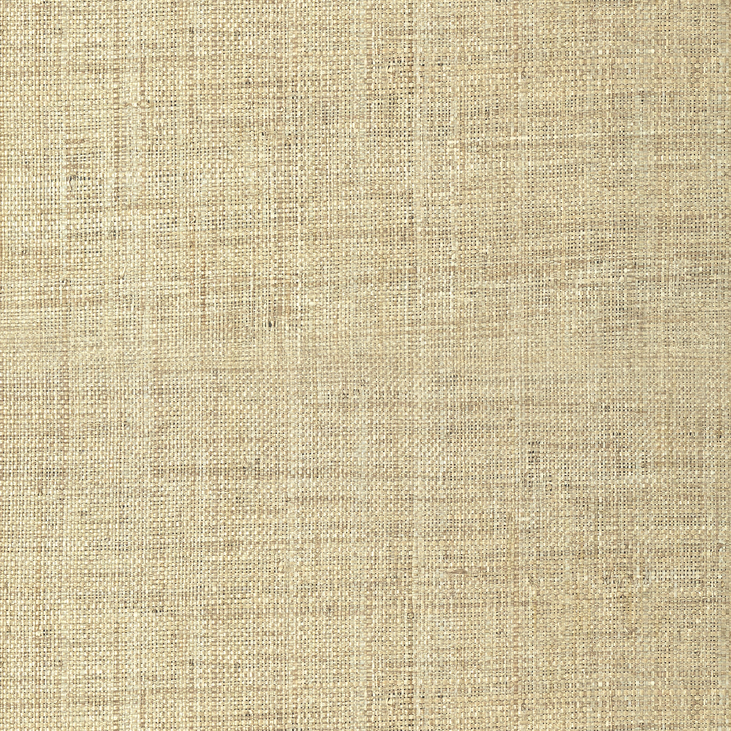 Pearl Bay fabric in tan color - pattern number T41107 - by Thibaut in the Grasscloth Resource Volume 3 collection