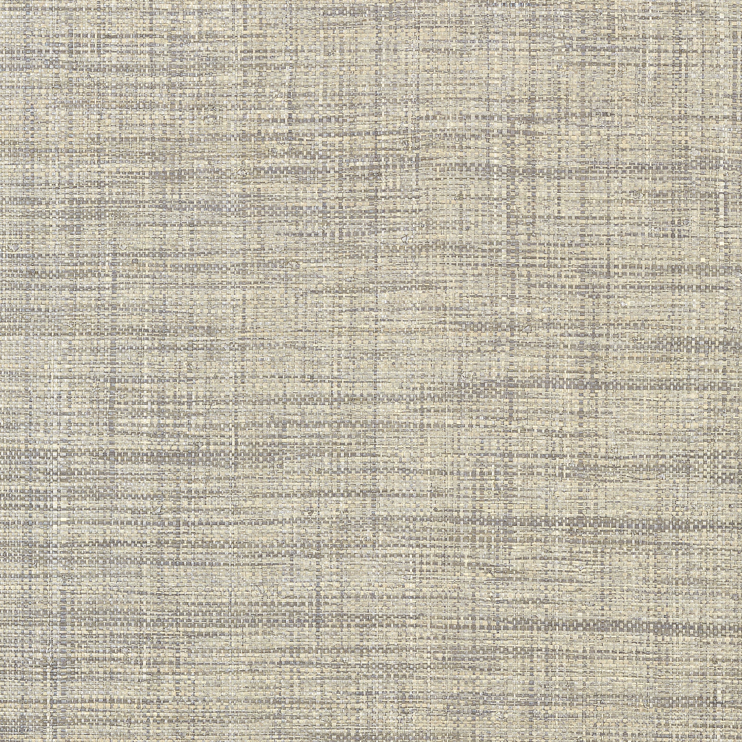 Pearl Bay fabric in grey color - pattern number T41112 - by Thibaut in the Grasscloth Resource Volume 3 collection