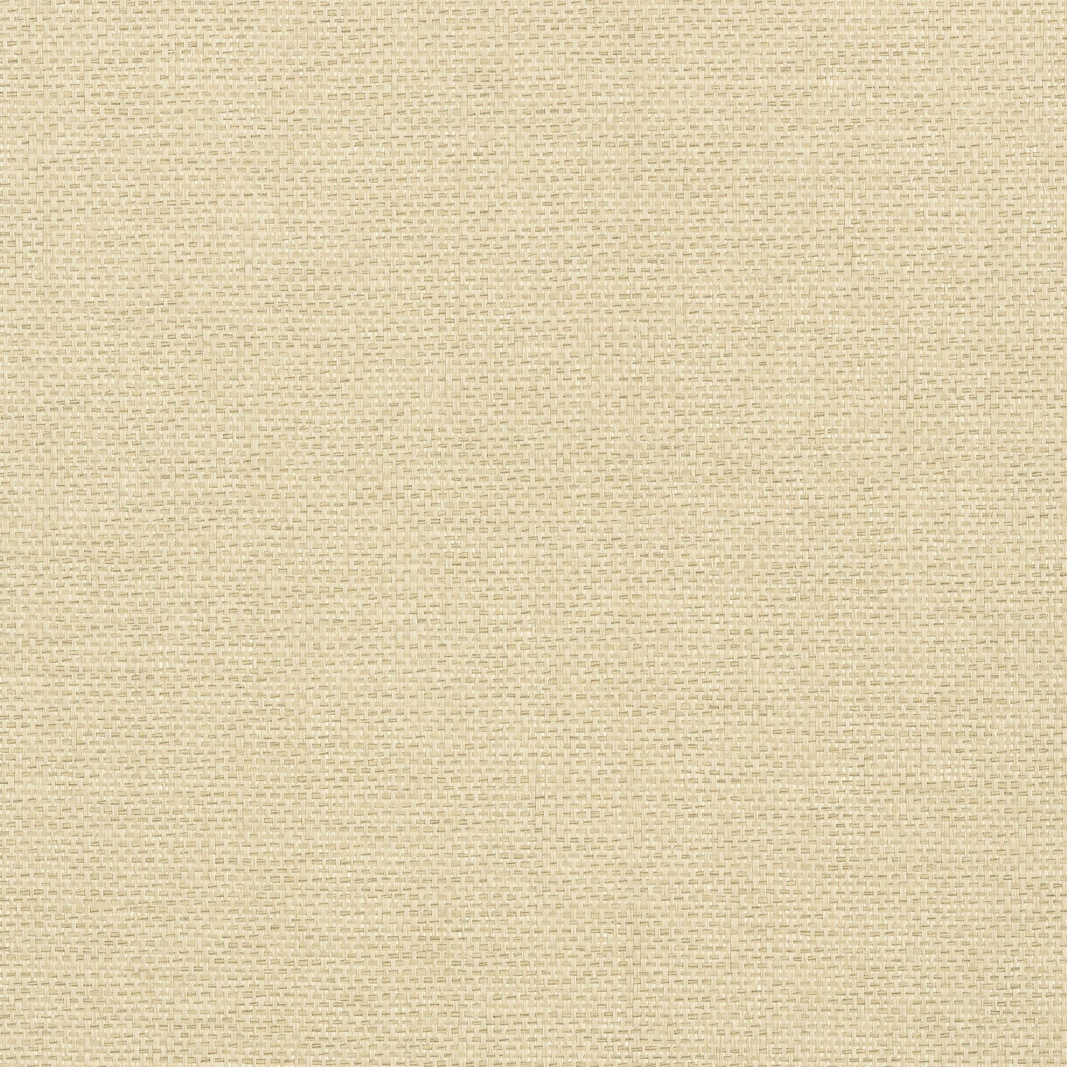 Adriatic fabric in sand color - pattern number T41125 - by Thibaut in the Grasscloth Resource Volume 3 collection
