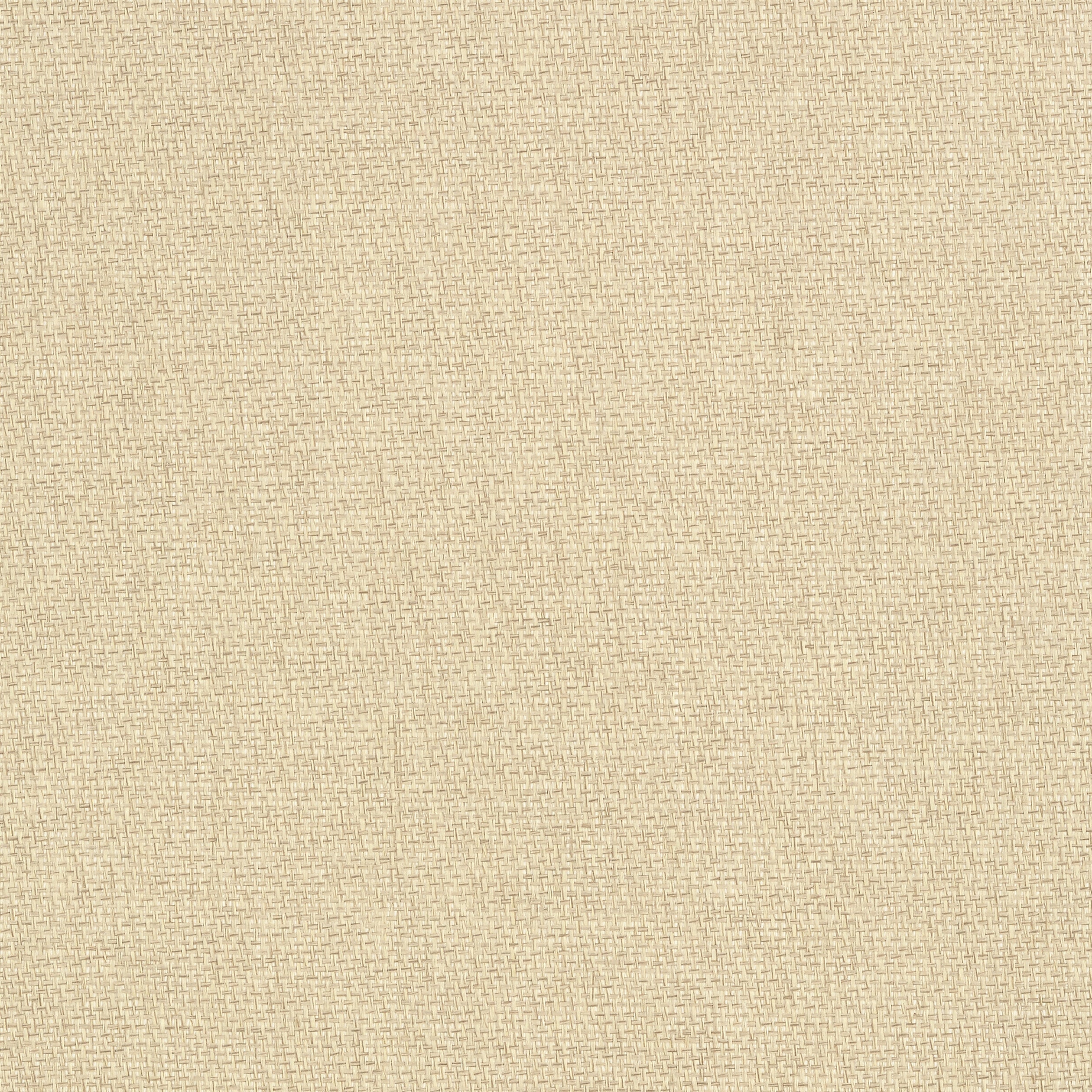 Adriatic fabric in stone color - pattern number T41126 - by Thibaut in the Grasscloth Resource Volume 3 collection