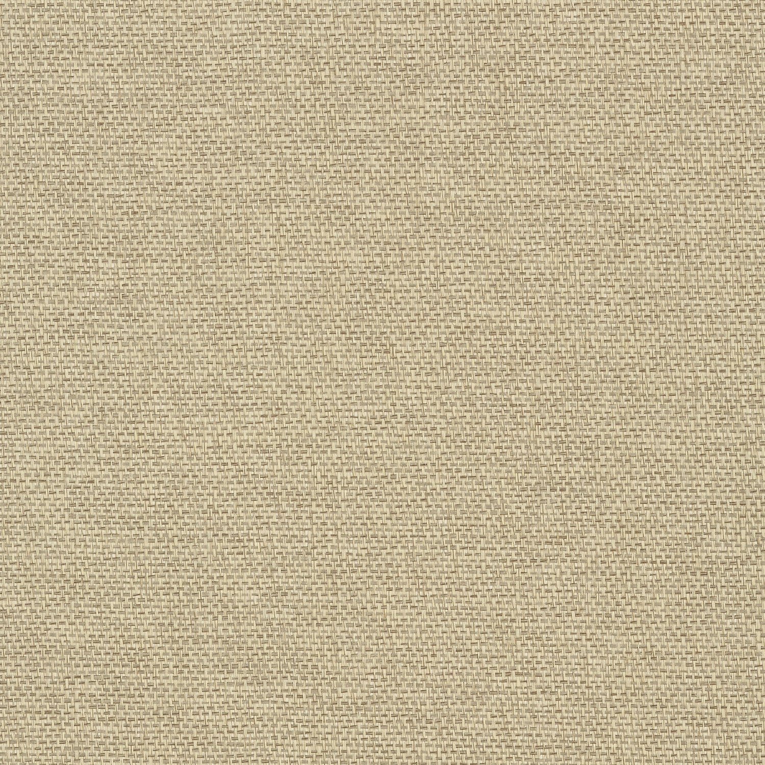 Adriatic fabric in flax color - pattern number T41128 - by Thibaut in the Grasscloth Resource Volume 3 collection