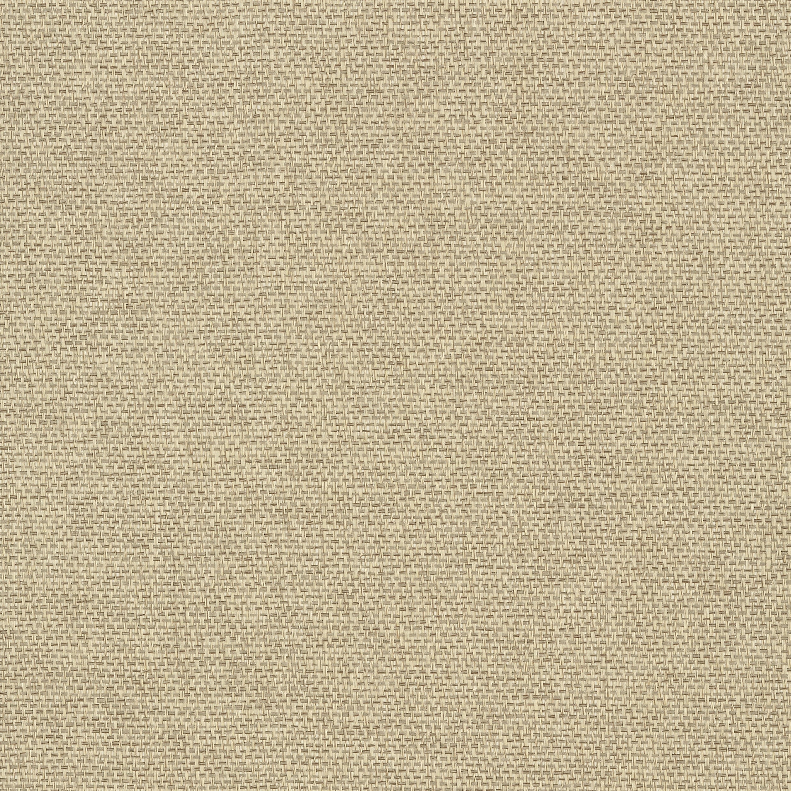 Adriatic fabric in flax color - pattern number T41128 - by Thibaut in the Grasscloth Resource Volume 3 collection