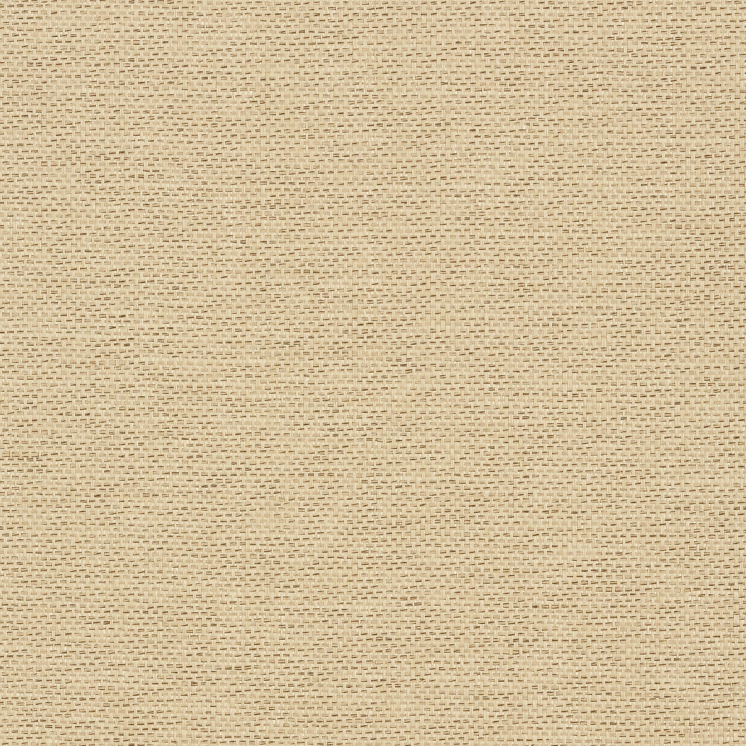 Adriatic fabric in beige and black color - pattern number T41129 - by Thibaut in the Grasscloth Resource Volume 3 collection
