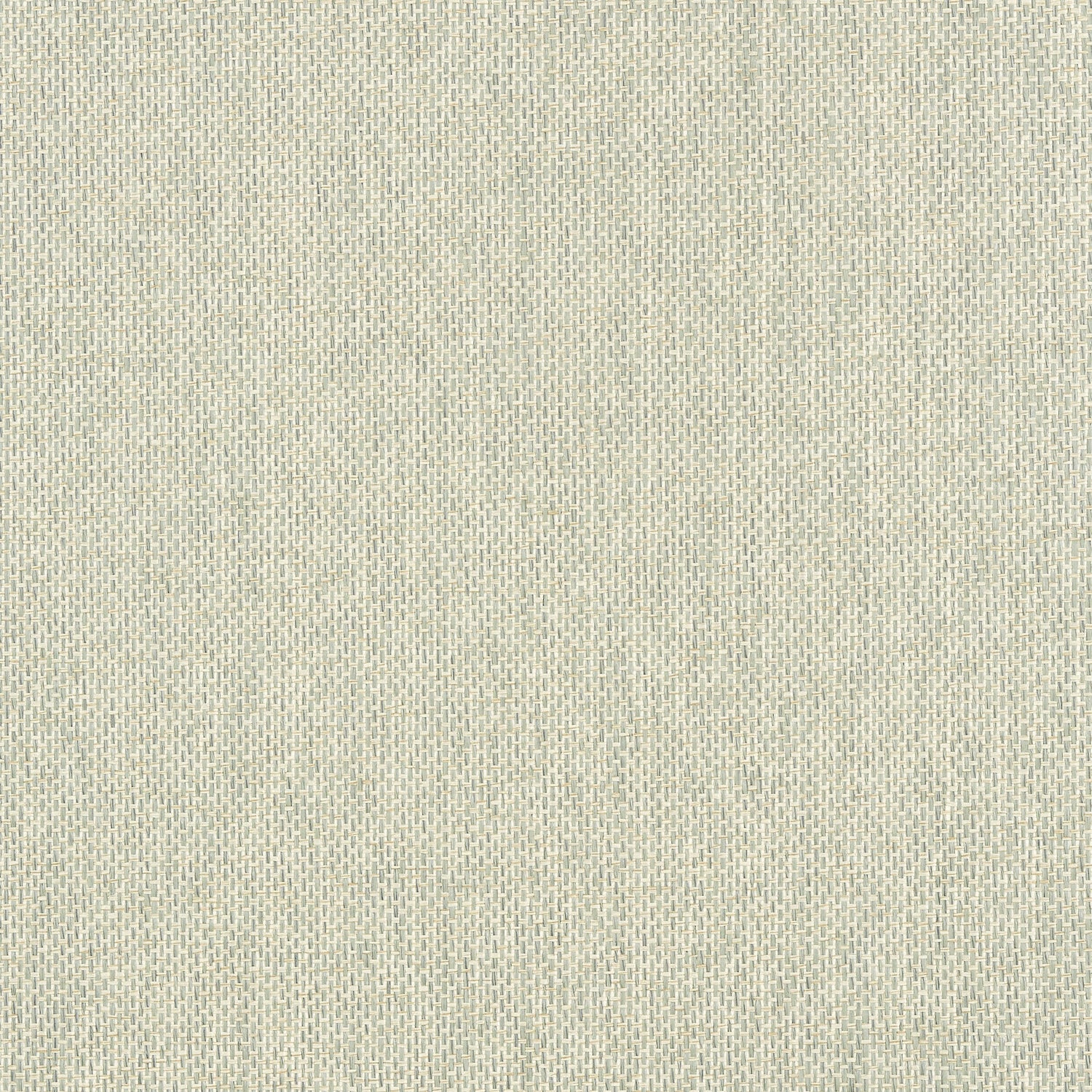 Adriatic fabric in cream and grey color - pattern number T41132 - by Thibaut in the Grasscloth Resource Volume 3 collection