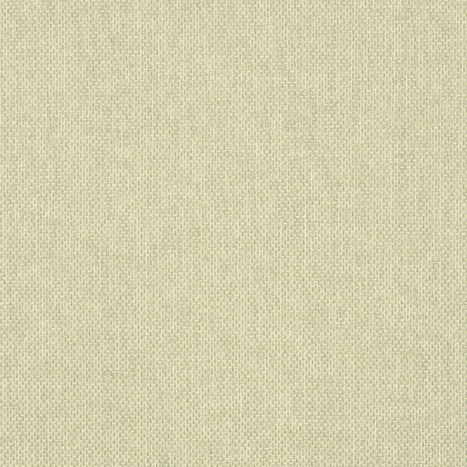 Adriatic fabric in sage color - pattern number T41134 - by Thibaut in the Grasscloth Resource Volume 3 collection