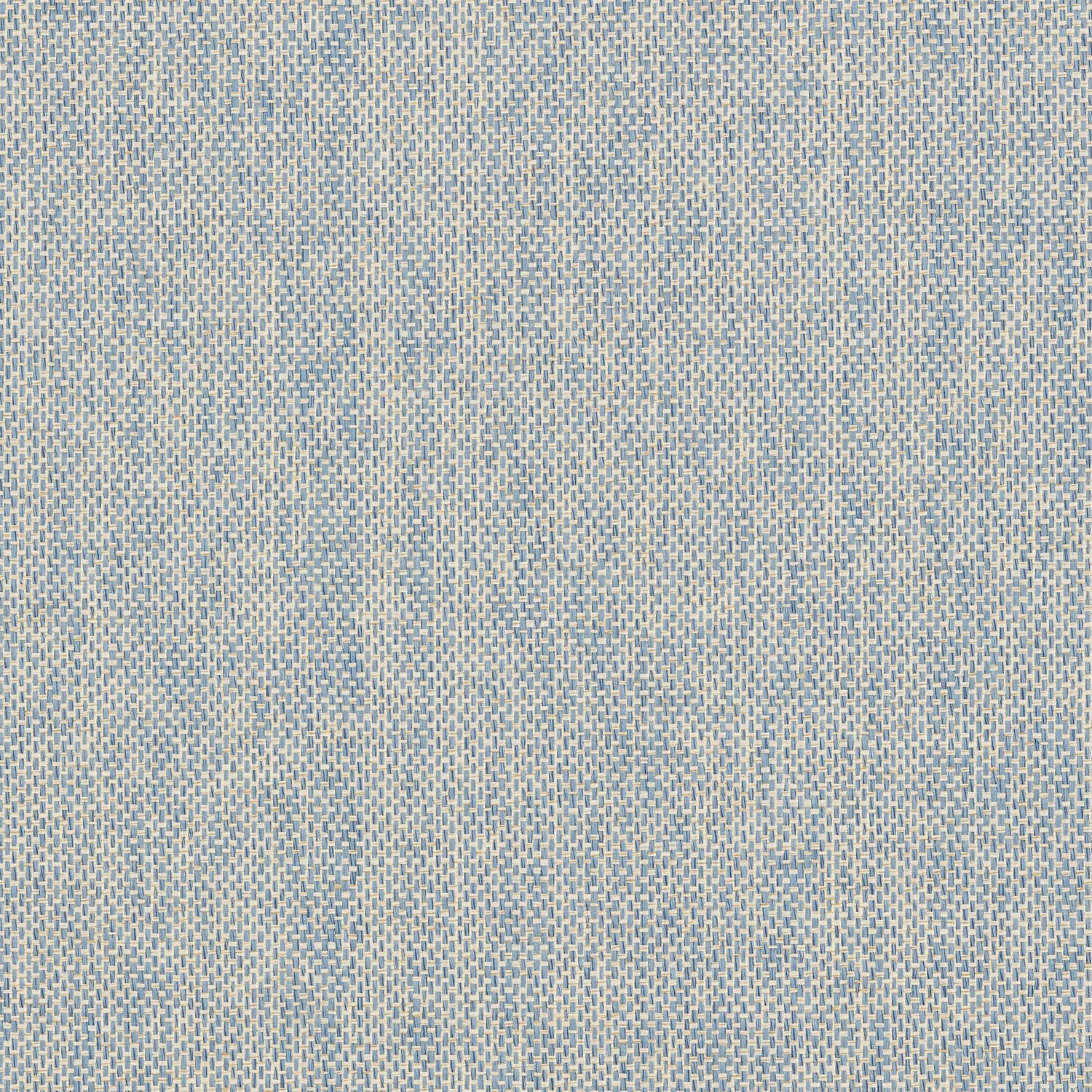 Adriatic fabric in sky blue color - pattern number T41136 - by Thibaut in the Grasscloth Resource Volume 3 collection