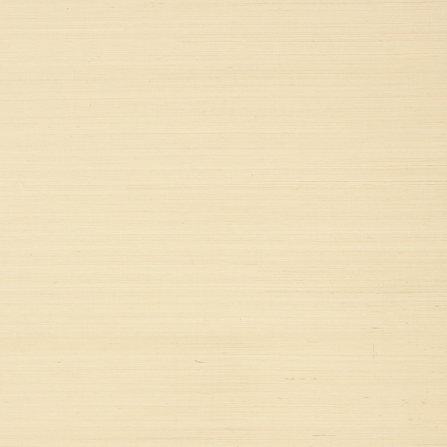 Shang Extra Fine Sisal fabric in beige color - pattern number T41159 - by Thibaut in the Grasscloth Resource Volume 6 collection