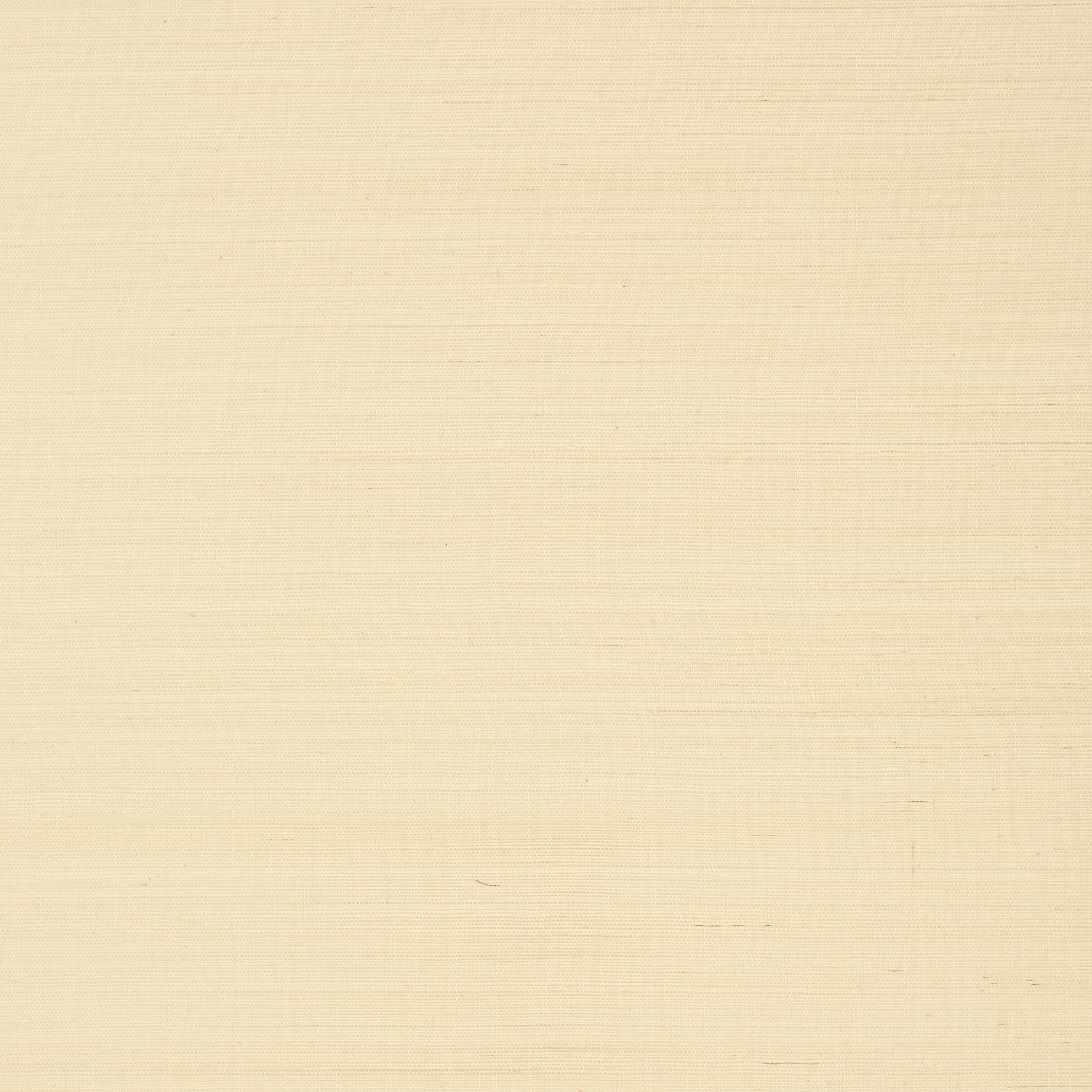 Shang Extra Fine Sisal fabric in beige color - pattern number T41159 - by Thibaut in the Grasscloth Resource Volume 6 collection