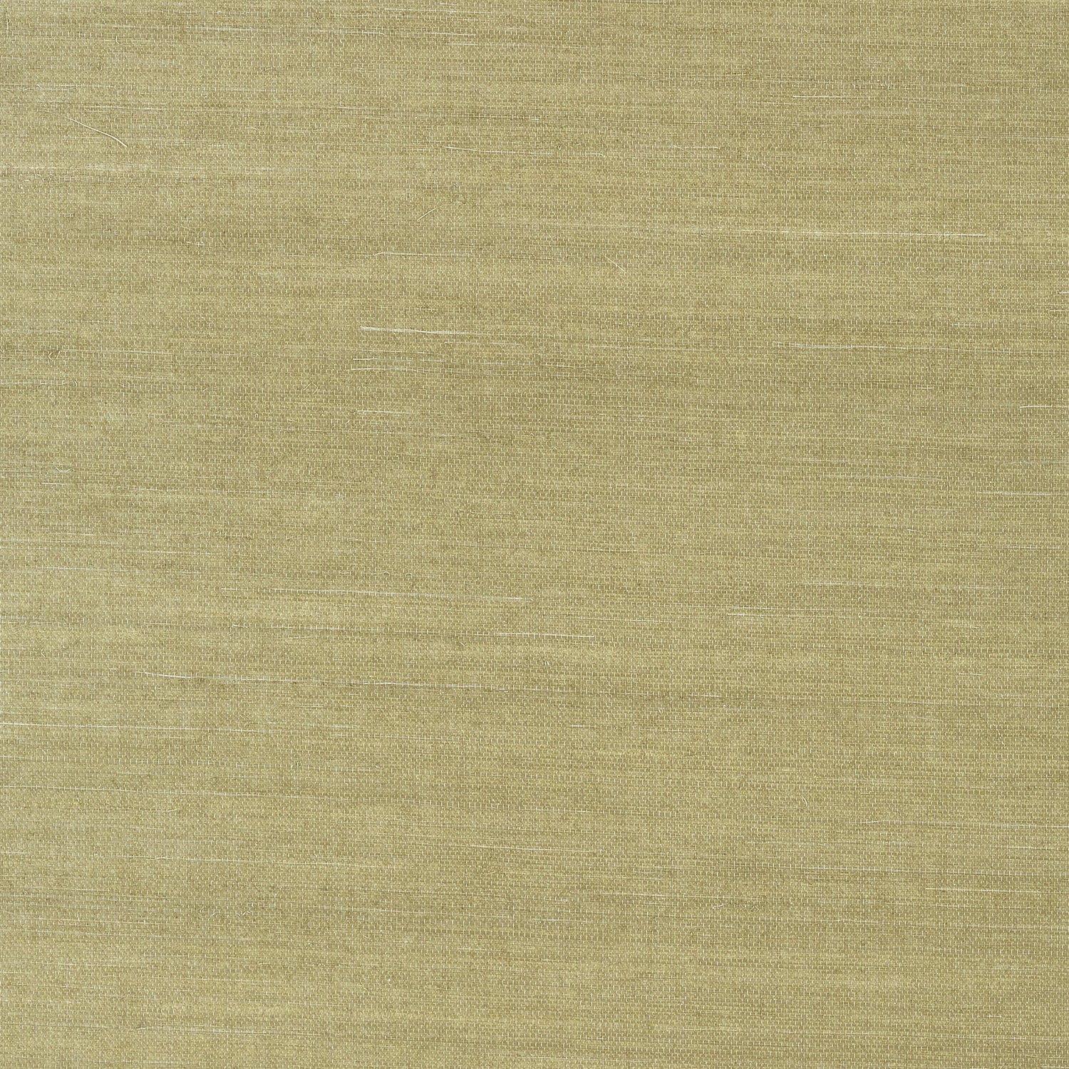 Shang Extra Fine Sisal wallpaper in moss color - pattern number T41166 - by Thibaut in the Grasscloth Resource Volume 4 collection