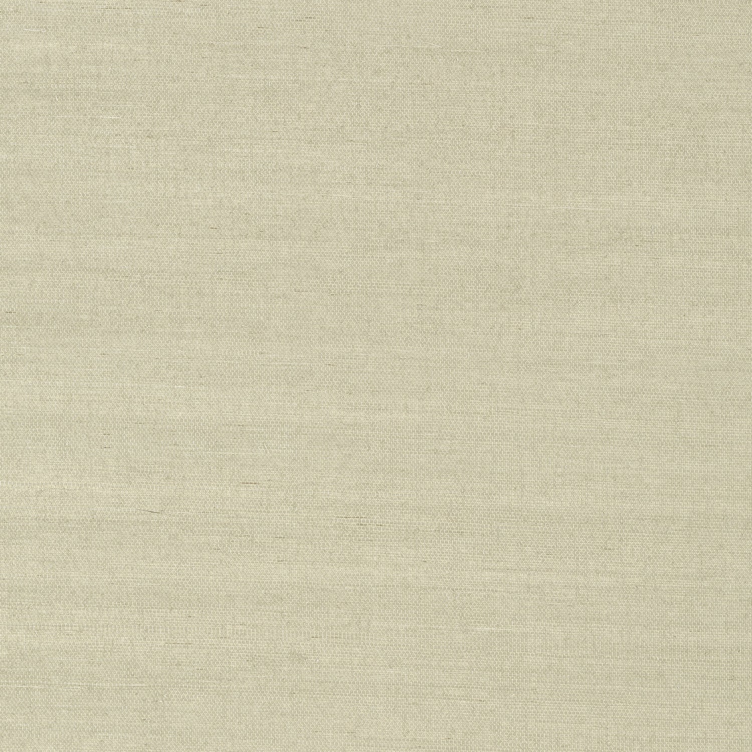 Shang Extra Fine Sisal fabric in light sage color - pattern number T41167 - by Thibaut in the Grasscloth Resource Volume 6 collection