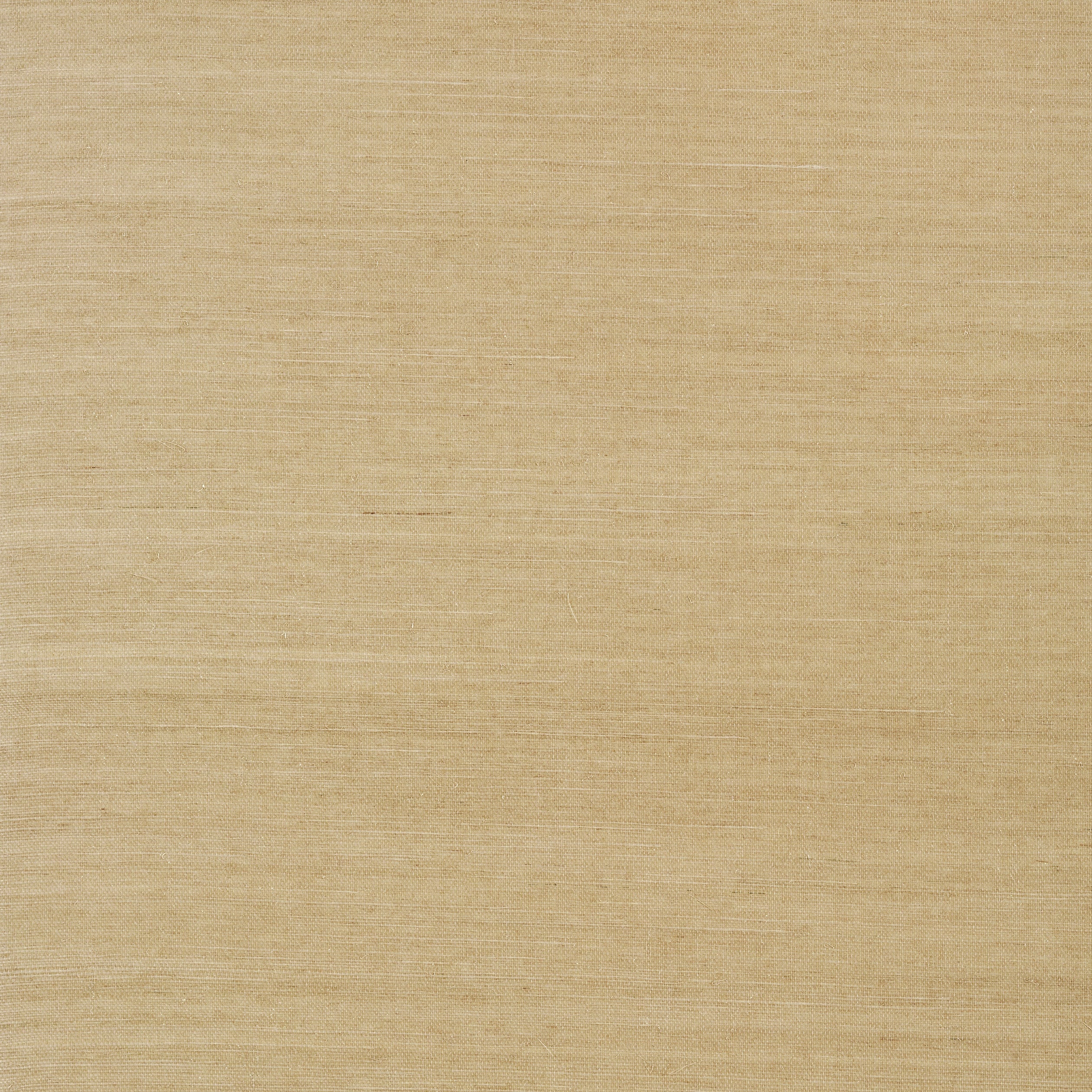 Shang Extra Fine Sisal fabric in doe color - pattern number T41173 - by Thibaut in the Grasscloth Resource Volume 6 collection