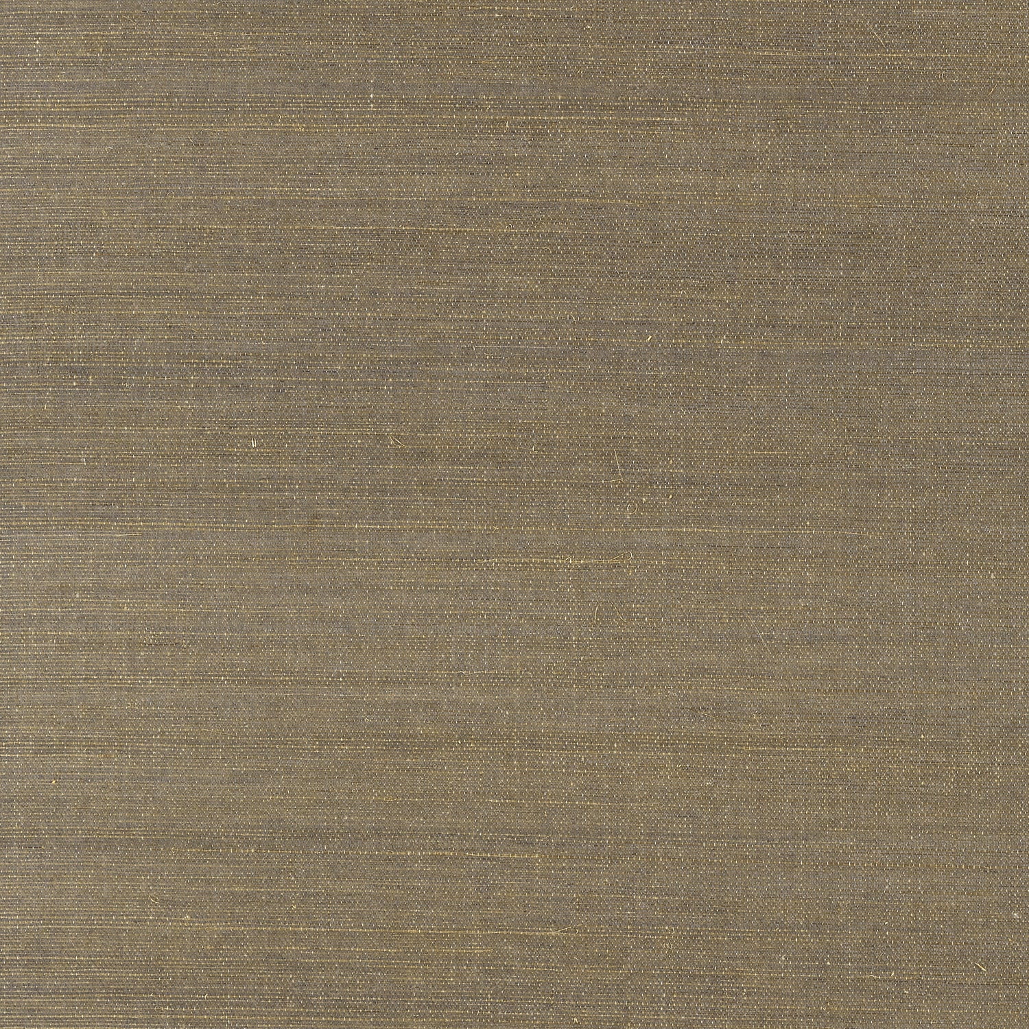 Shang Extra Fine Sisal fabric in ash color - pattern number T41176 - by Thibaut in the Grasscloth Resource Volume 6 collection