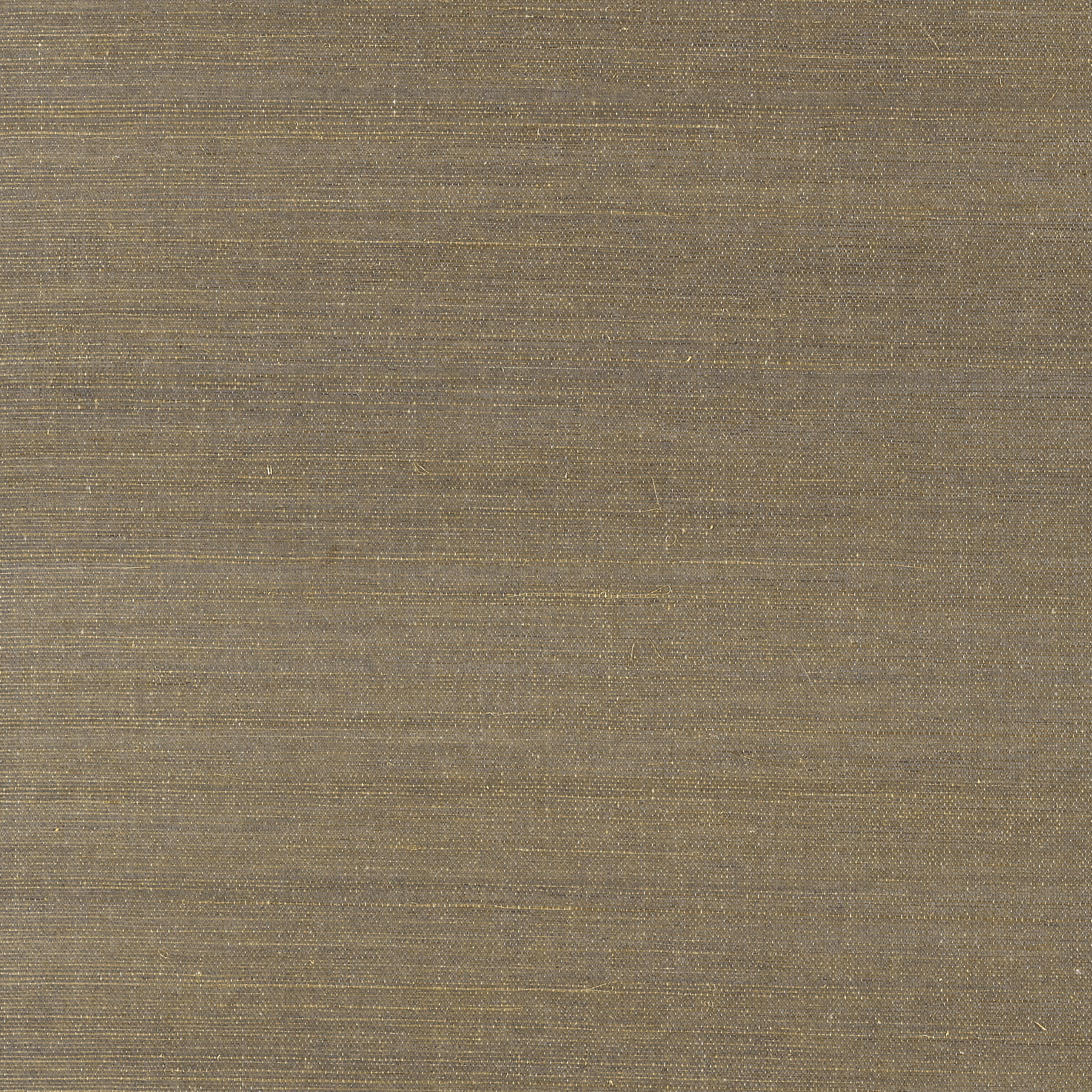 Shang Extra Fine Sisal fabric in ash color - pattern number T41176 - by Thibaut in the Grasscloth Resource Volume 6 collection