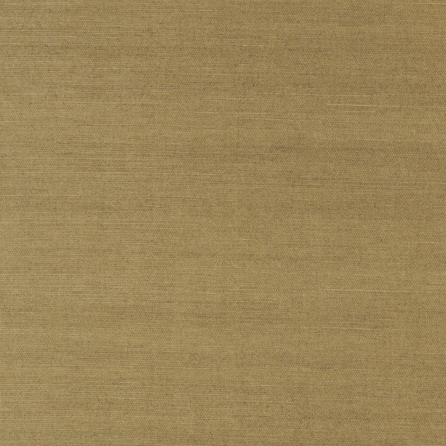 Shang Extra Fine Sisal wallpaper in khaki color - pattern number T41177 - by Thibaut in the Grasscloth Resource Volume 4 collection