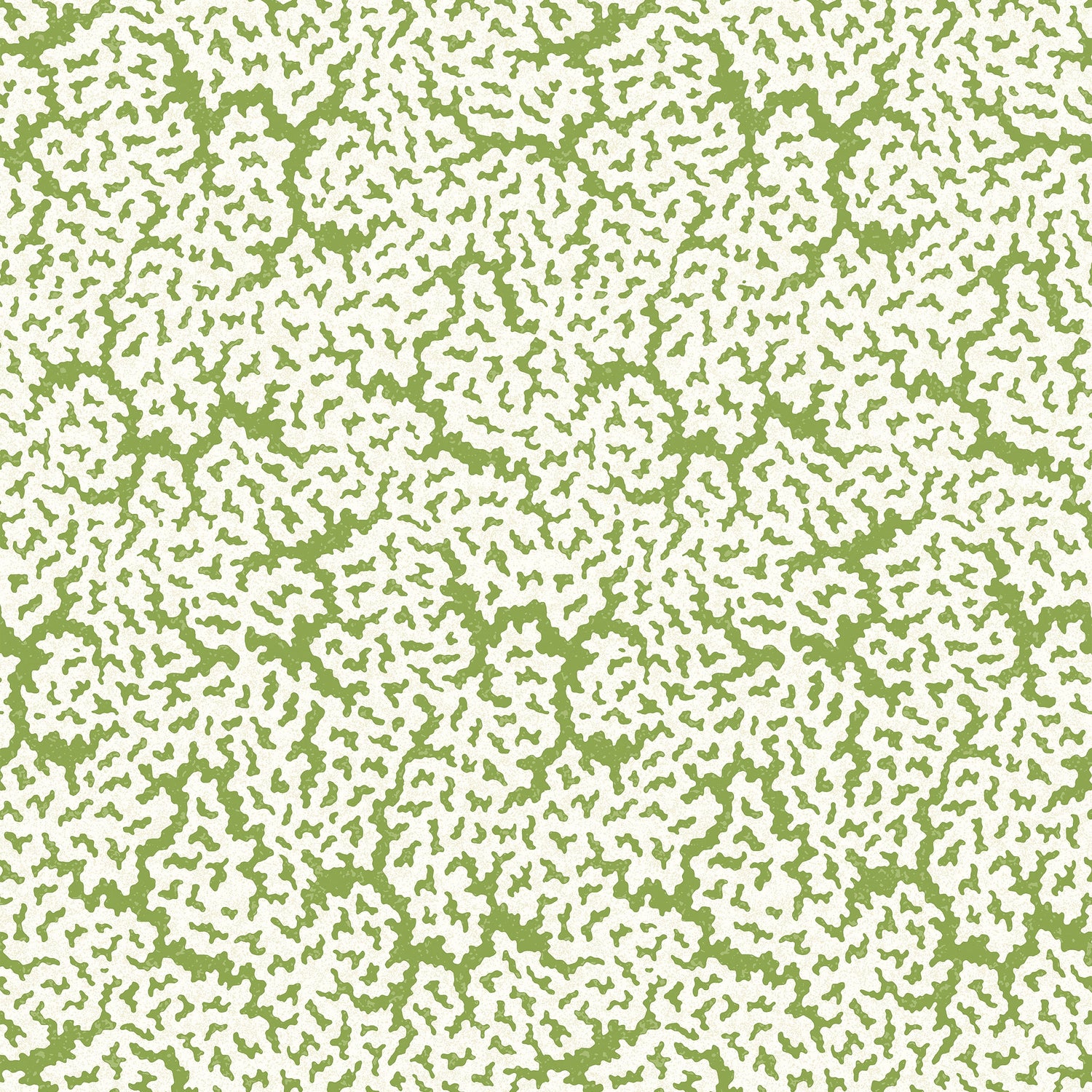 Maldives wallpaper in green color - pattern number T42041 - by Thibaut in the Sojourn collection