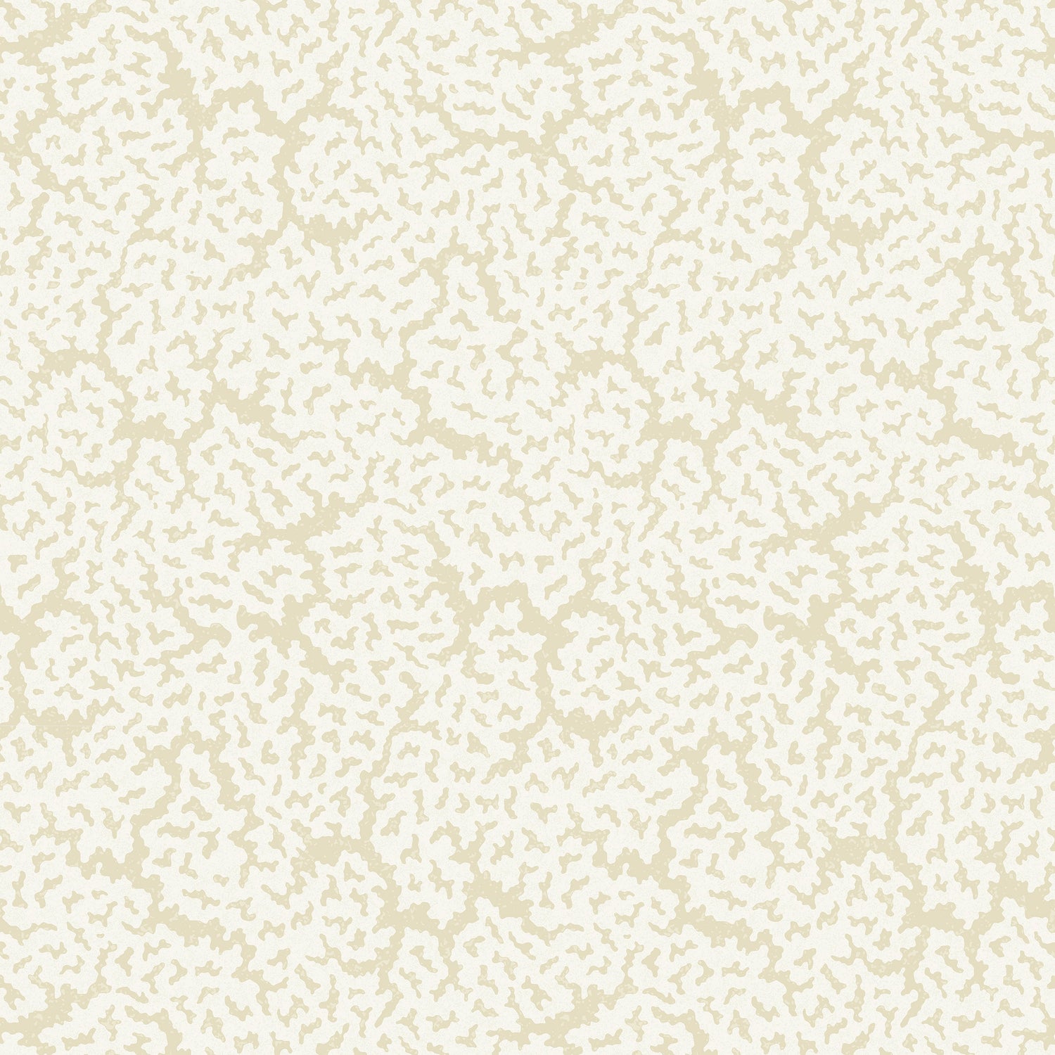 Maldives wallpaper in cream color - pattern number T42059 - by Thibaut in the Sojourn collection