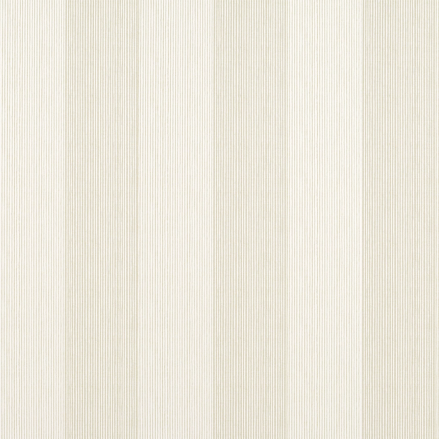 Evan Stripe wallpaper in beige color - pattern number T44024 - by Thibaut in the Stripes and Checks Resource collection