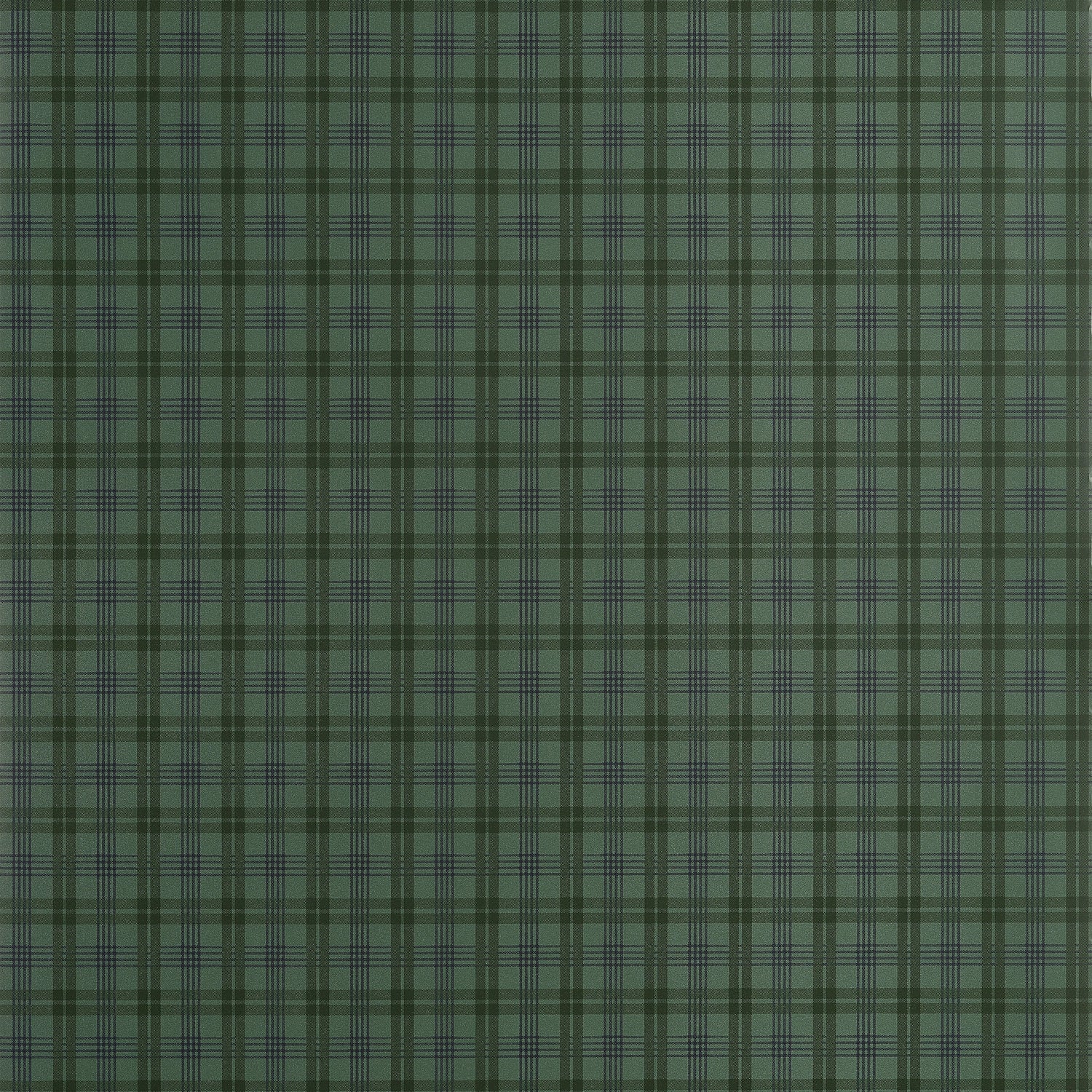 Huntley Plaid wallpaper in dark green color - pattern number T44052 - by Thibaut in the Stripes and Checks Resource collection
