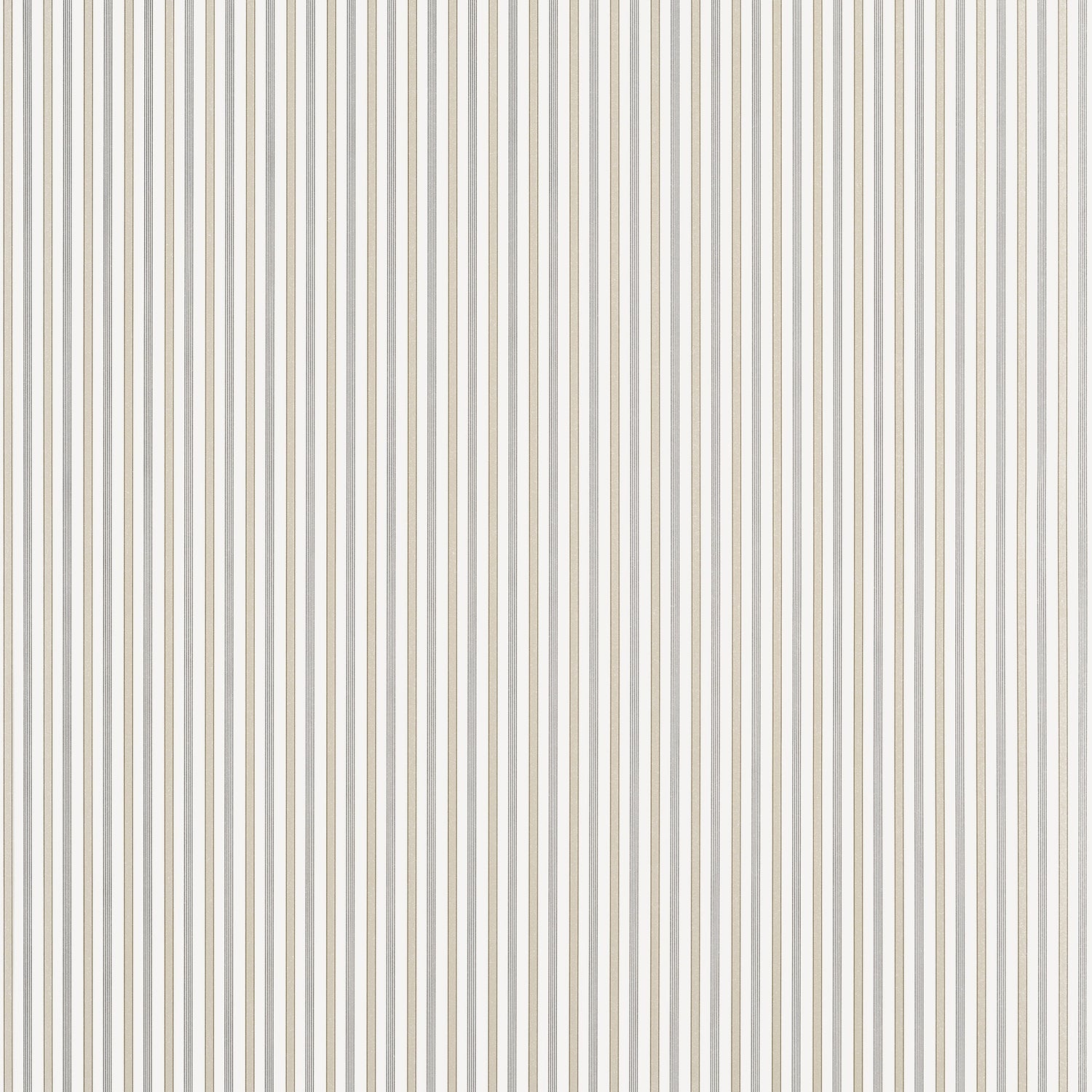 Conner Stripe wallpaper in beige and grey color - pattern number T44065 - by Thibaut in the Stripes and Checks Resource collection