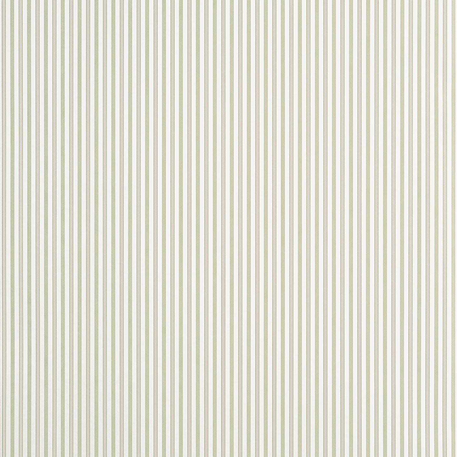 Conner Stripe wallpaper in green and beige color - pattern number T44066 - by Thibaut in the Stripes and Checks Resource collection