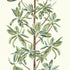 Mangrove Tree wallpaper in sage color - pattern number T45034 - by Thibaut in the Wanderlust collection