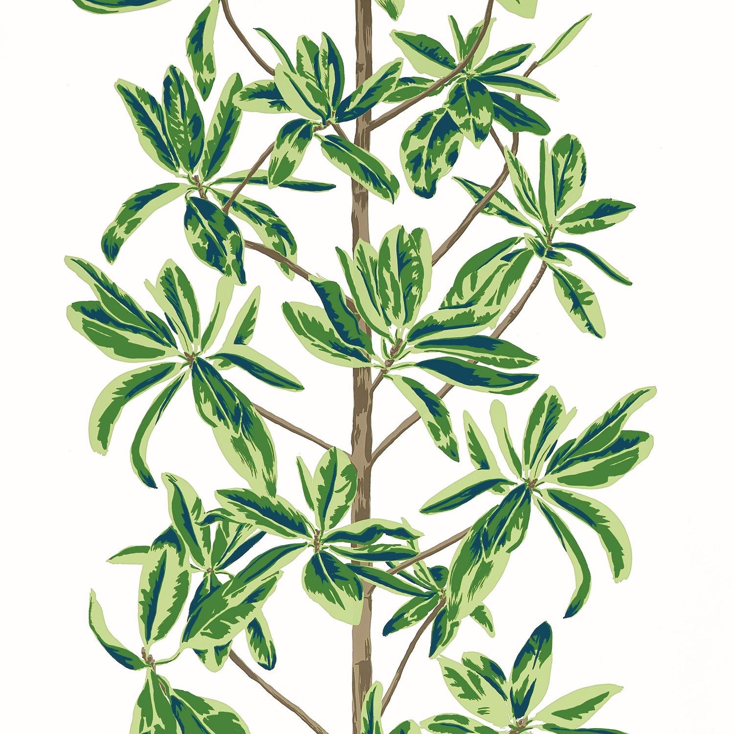 Mangrove Tree wallpaper in green and white color - pattern number T45035 - by Thibaut in the Wanderlust collection