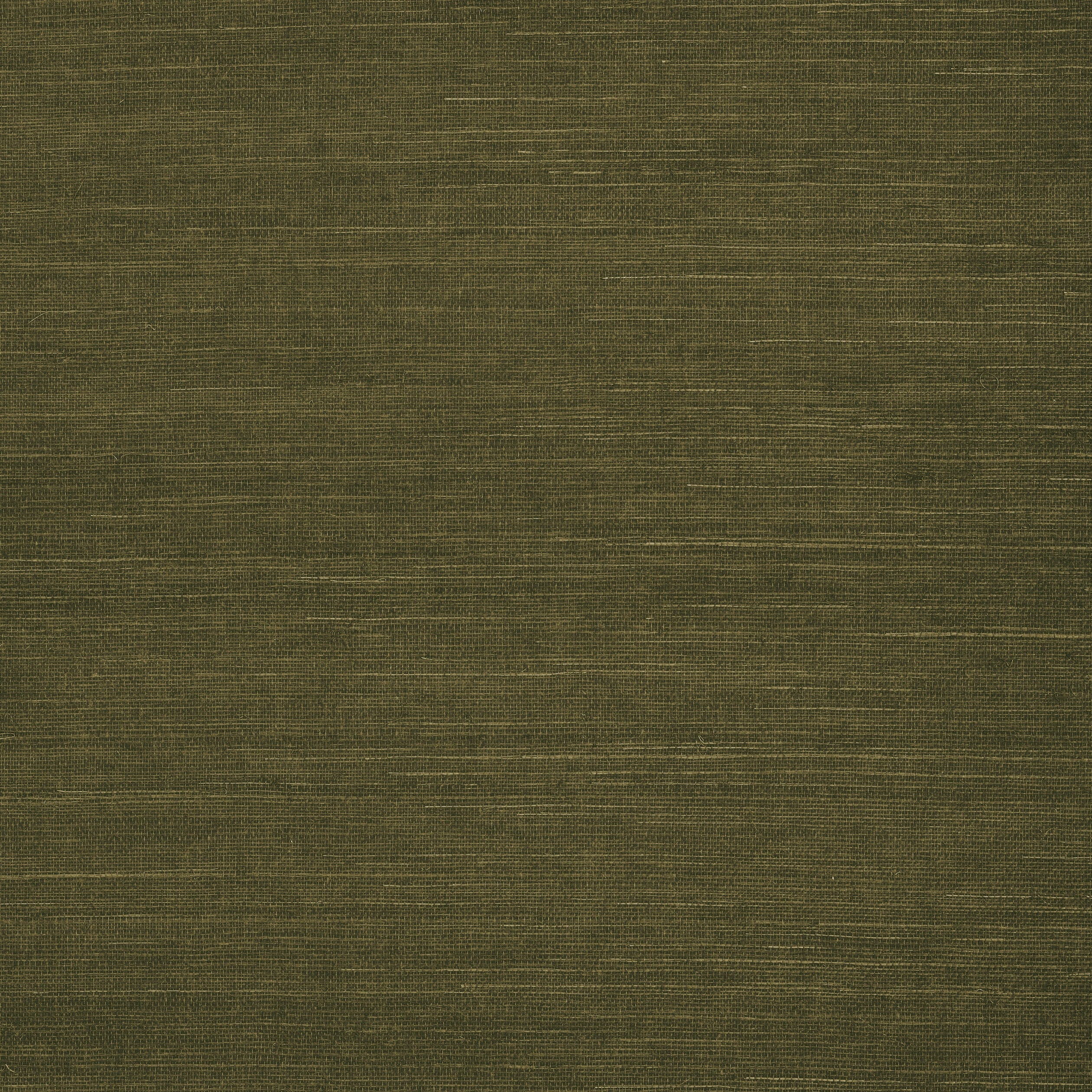 Shang Extra Fine Sisal fabric in avocado color - pattern number T5027 - by Thibaut in the Grasscloth Resource Volume 6 collection