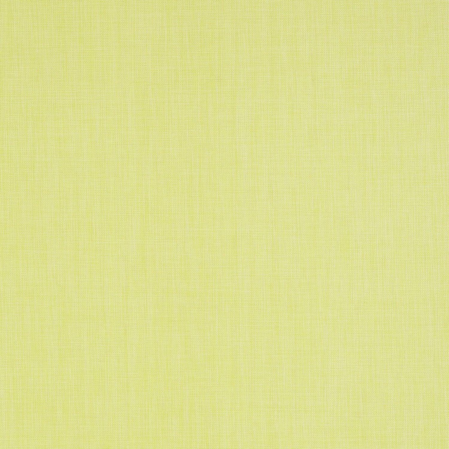 Regatta Raffia wallpaper in citrus color - pattern number T5706 - by Thibaut in the Grasscloth Resource Volume 3 collection