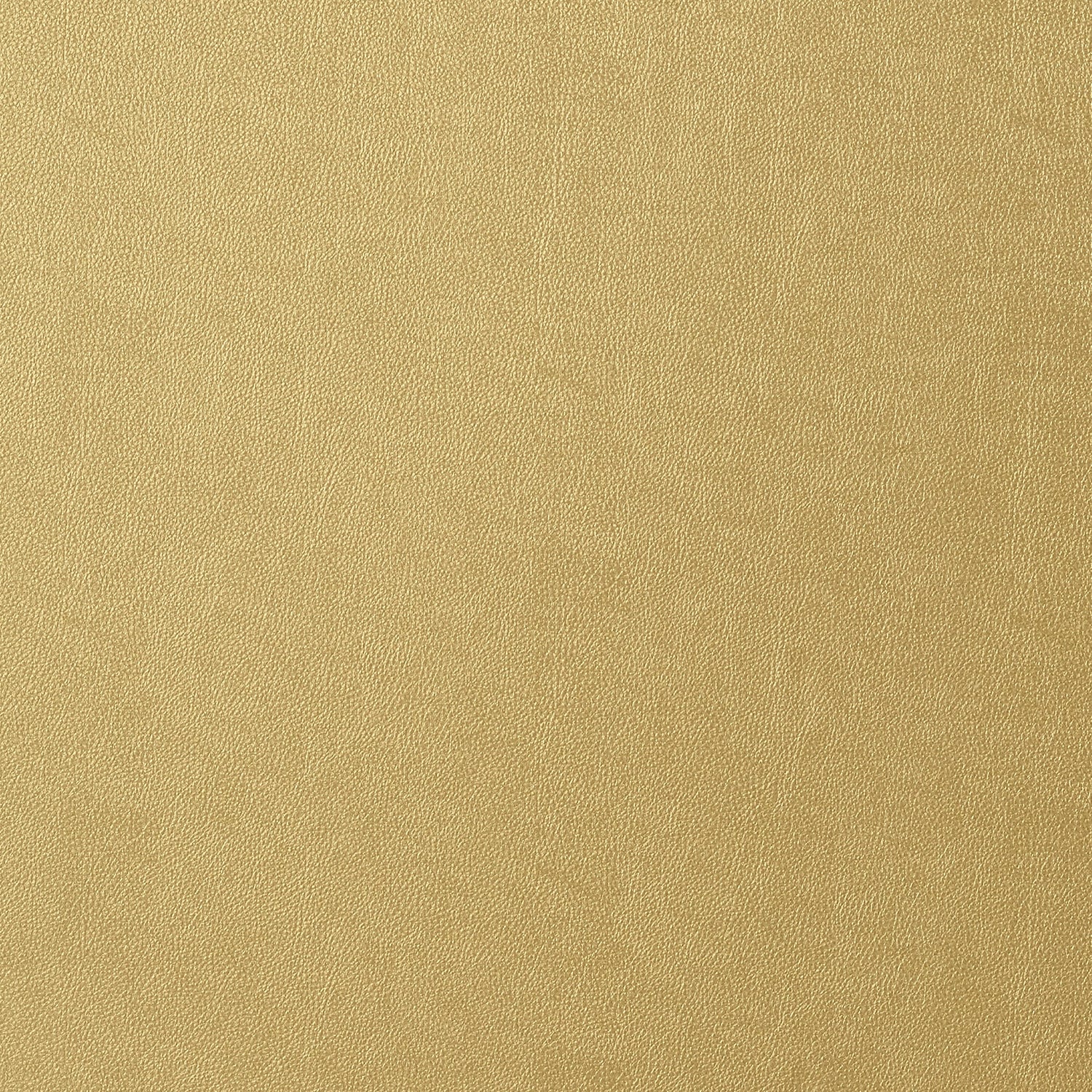 Western Leather wallpaper in metallic gold color - pattern number T57161 - by Thibaut in the Texture Resource Volume 5 collection
