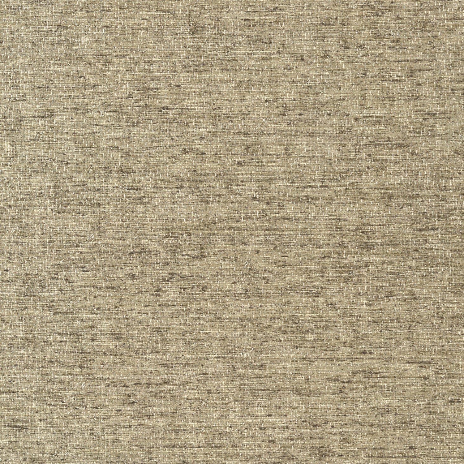 Arrowroot wallpaper in mocha color - pattern number T57181 - by Thibaut in the Texture Resource Volume 5 collection