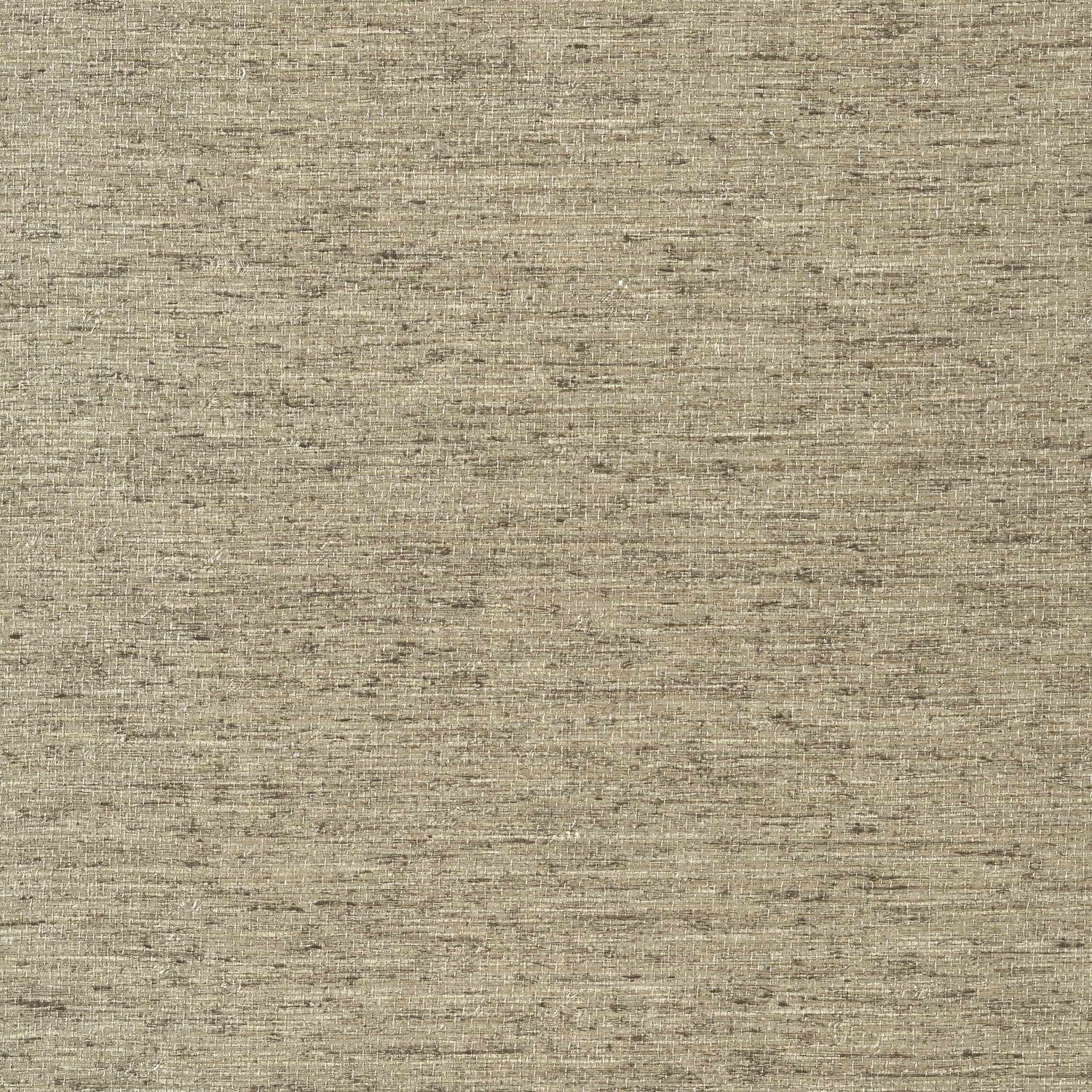 Arrowroot wallpaper in fog color - pattern number T57184 - by Thibaut in the Texture Resource Volume 5 collection