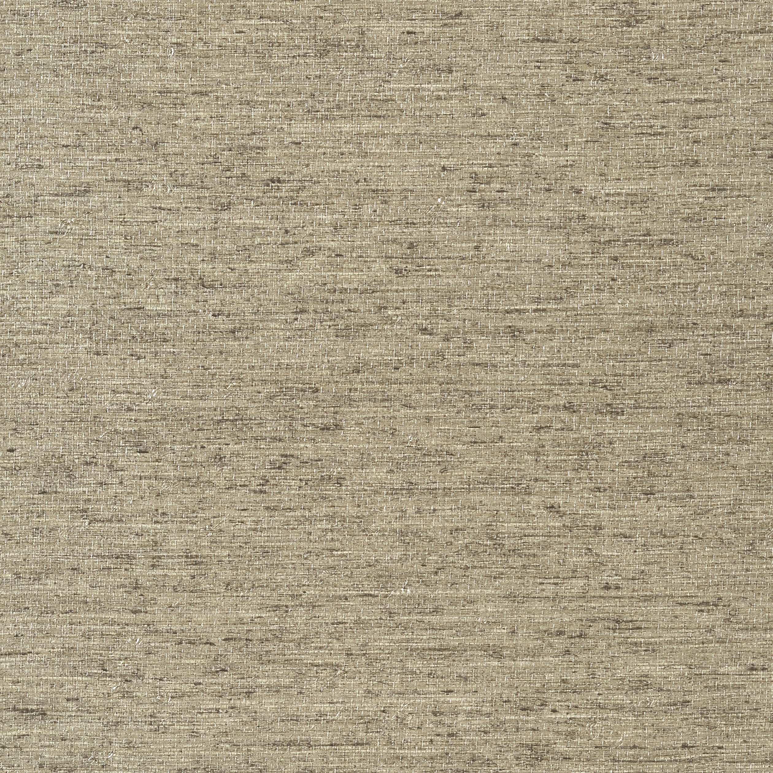 Arrowroot wallpaper in fog color - pattern number T57184 - by Thibaut in the Texture Resource Volume 5 collection