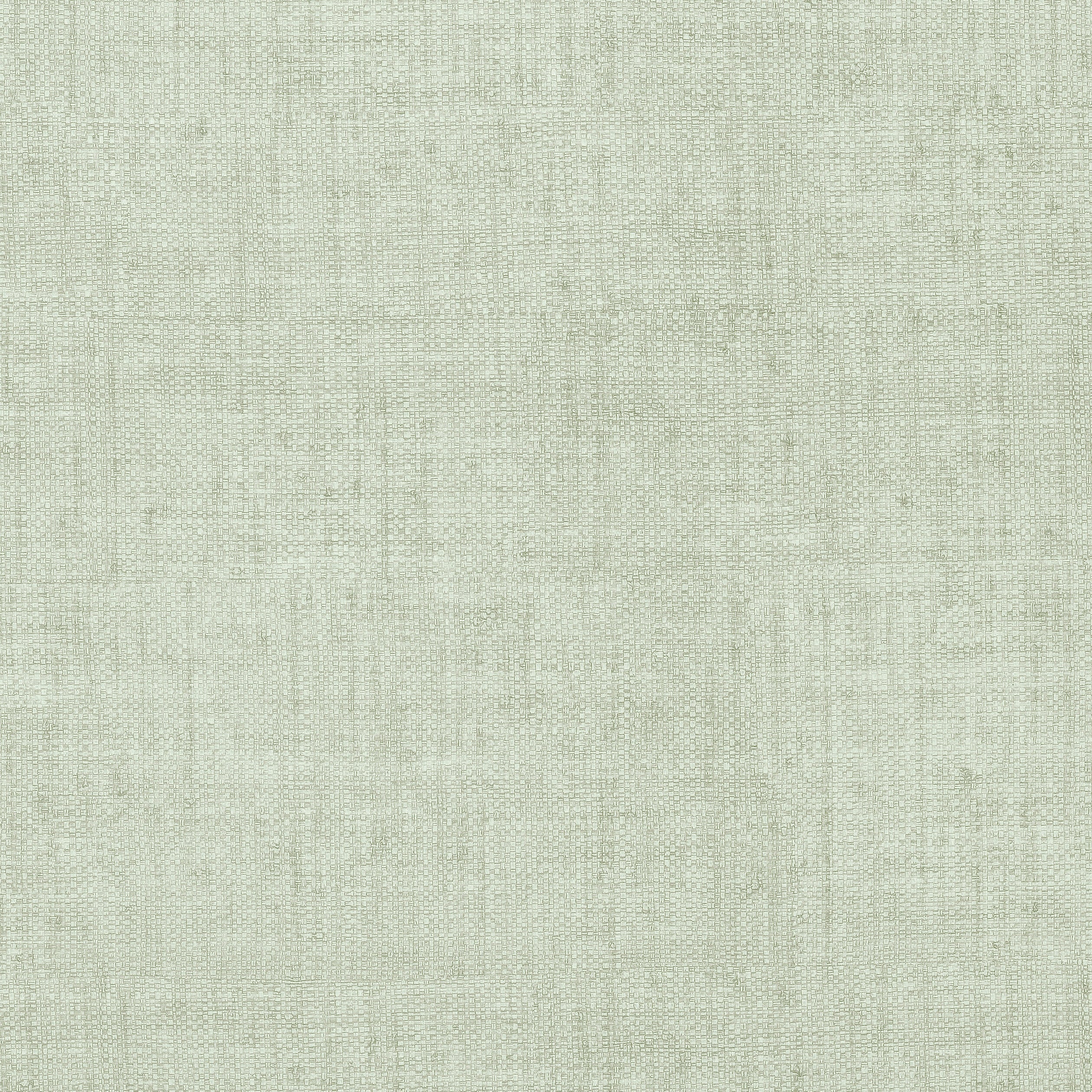 Bankun Raffia wallpaper in aqua color - pattern number T6808 - by Thibaut in the Texture Resource Volume 8 collection