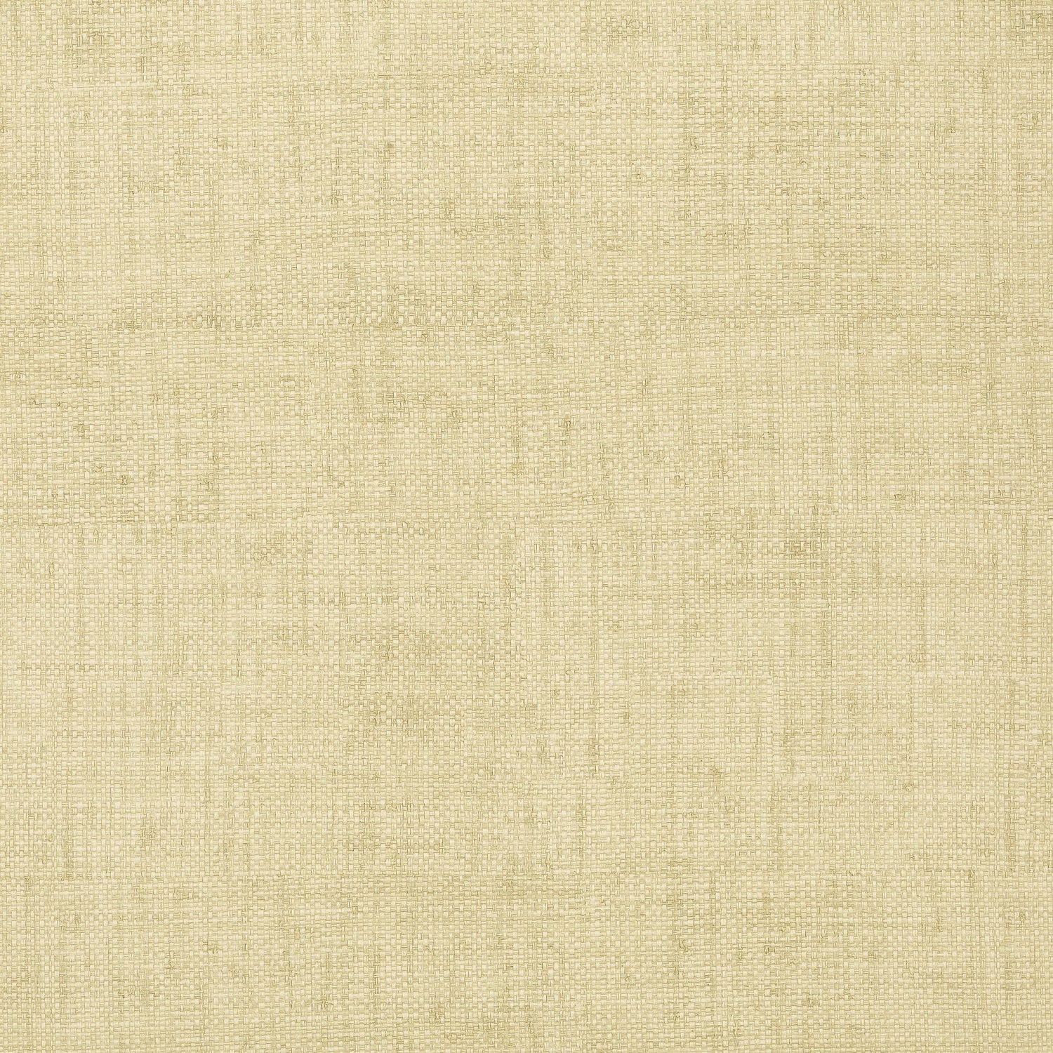 Bankun Raffia wallpaper in sand color - pattern number T6812 - by Thibaut in the Texture Resource Volume 5 collection