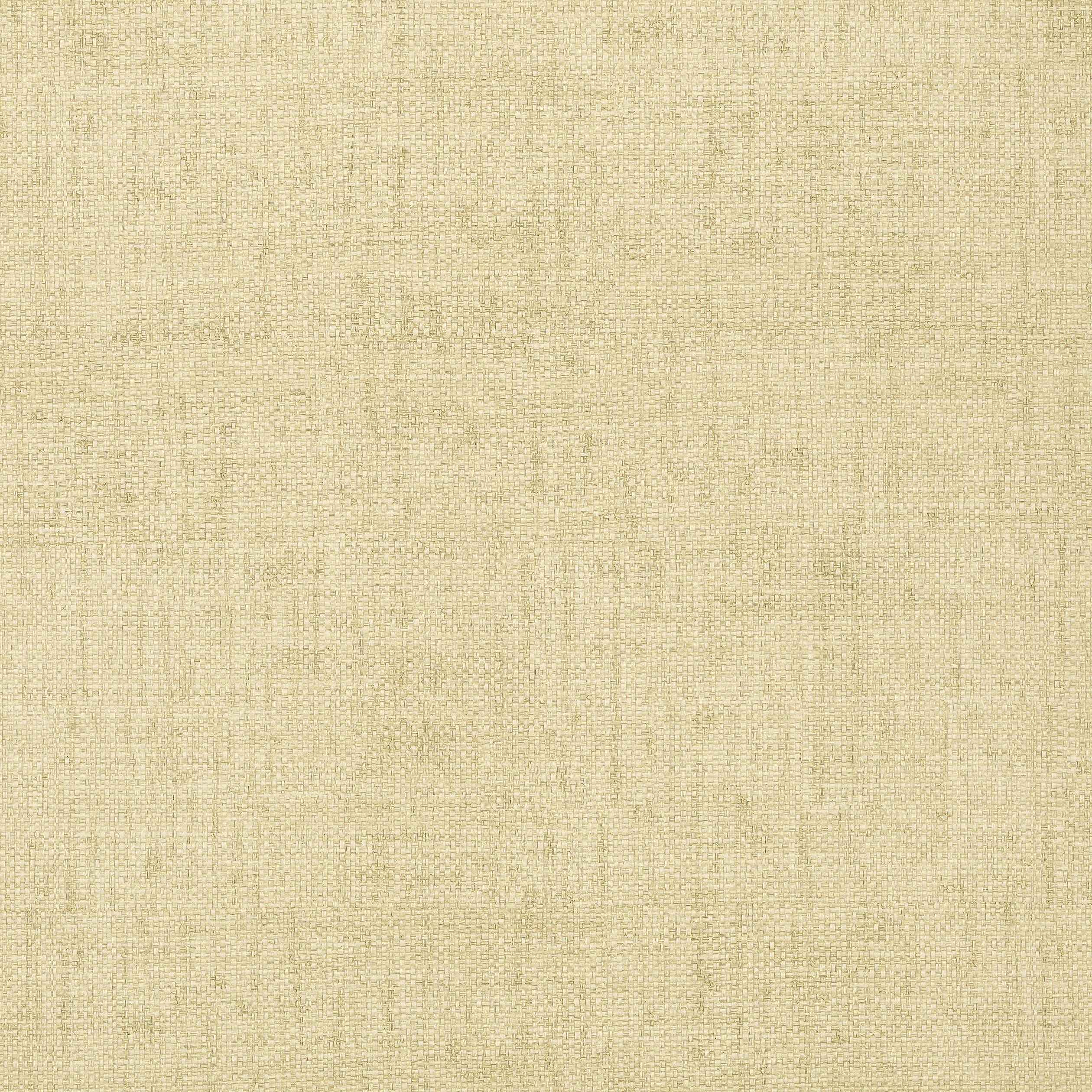 Bankun Raffia wallpaper in sand color - pattern number T6812 - by Thibaut in the Texture Resource Volume 5 collection