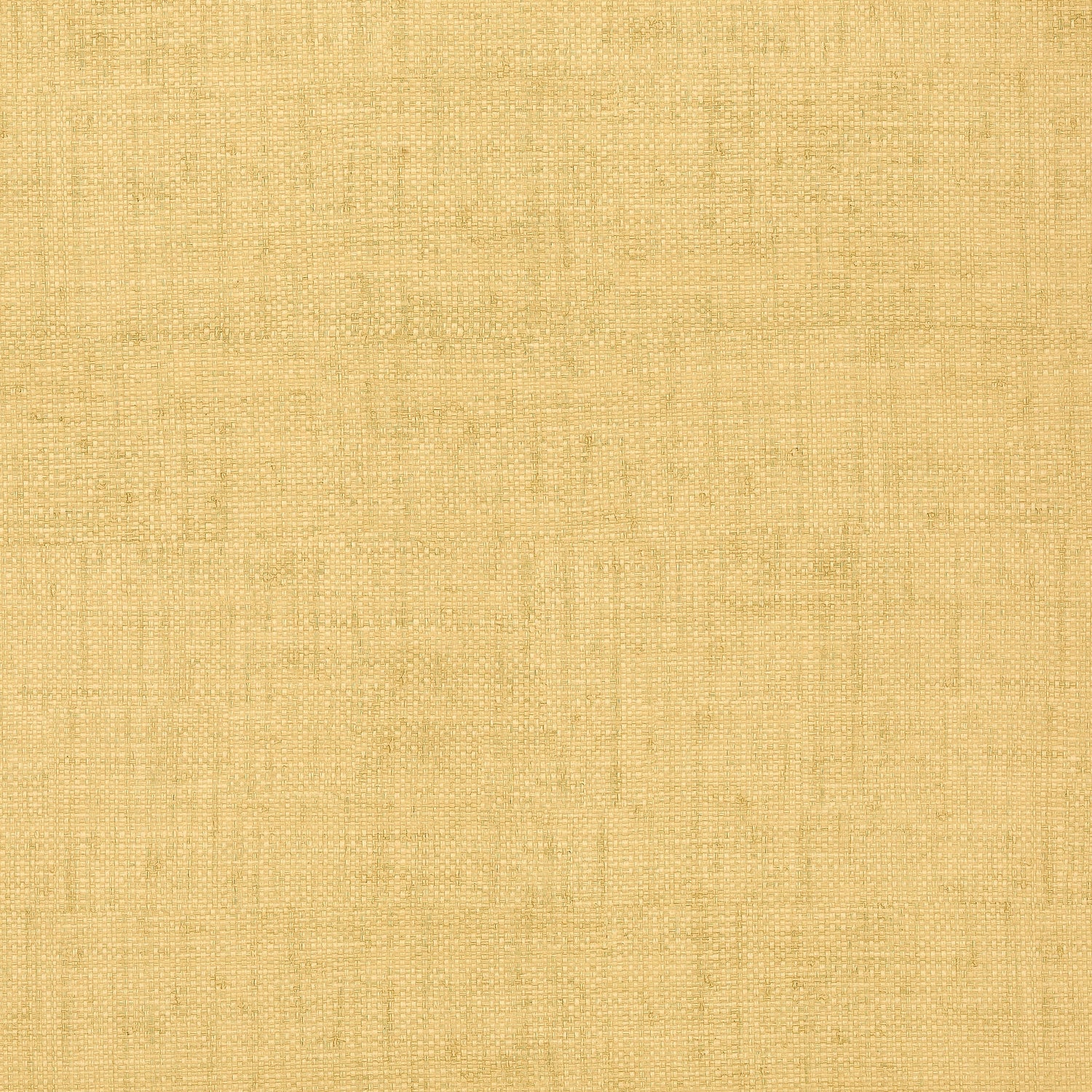 Bankun Raffia wallpaper in straw color - pattern number T6813 - by Thibaut in the Texture Resource Volume 8 collection