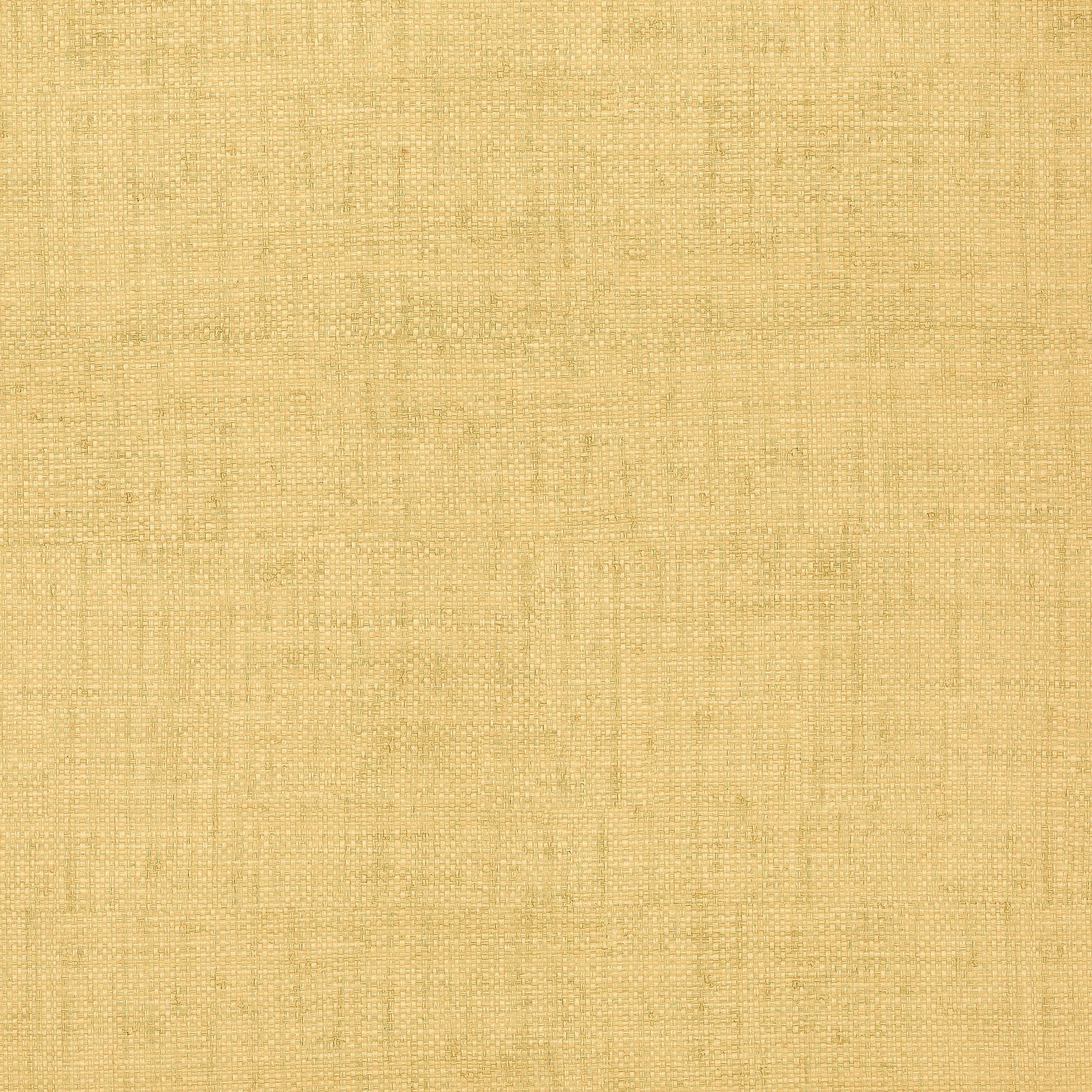 Bankun Raffia wallpaper in straw color - pattern number T6813 - by Thibaut in the Texture Resource Volume 8 collection