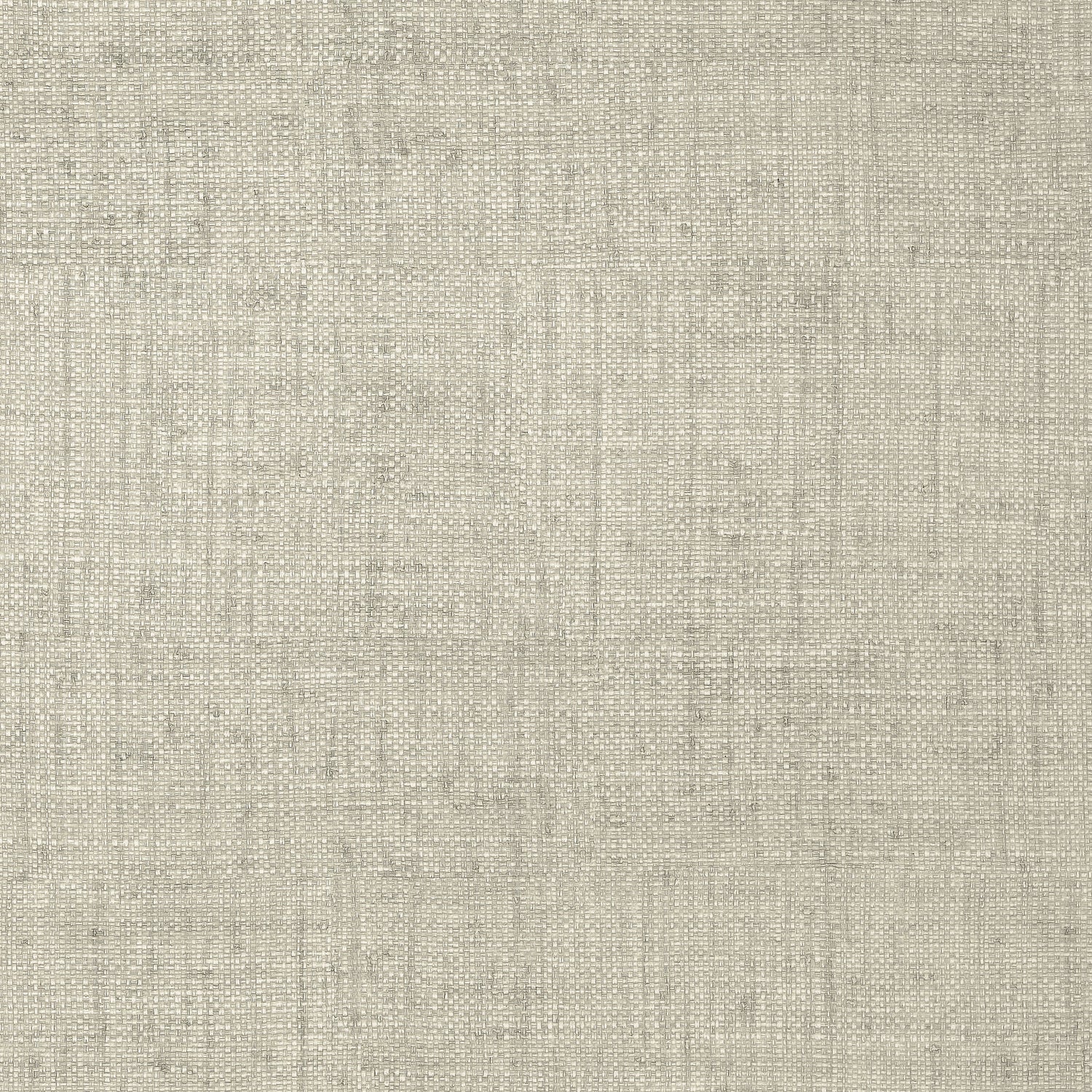 Bankun Raffia wallpaper in grey color - pattern number T6815 - by Thibaut in the Texture Resource Volume 8 collection