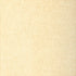 Natural Ostrich fabric in cream color - pattern number T6830 - by Thibaut in the Texture Resource Volume 3 collection