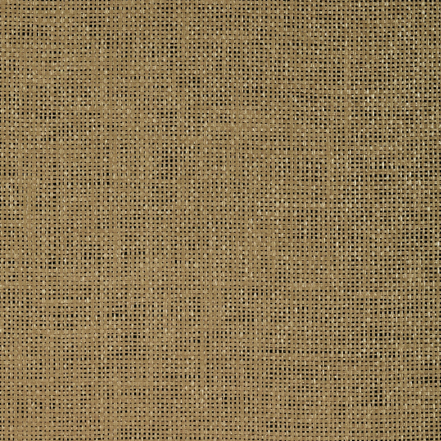 Calabasas wallpaper in gold color - pattern number T72796 - by Thibaut in the Grasscloth Resource Volume 4 collection