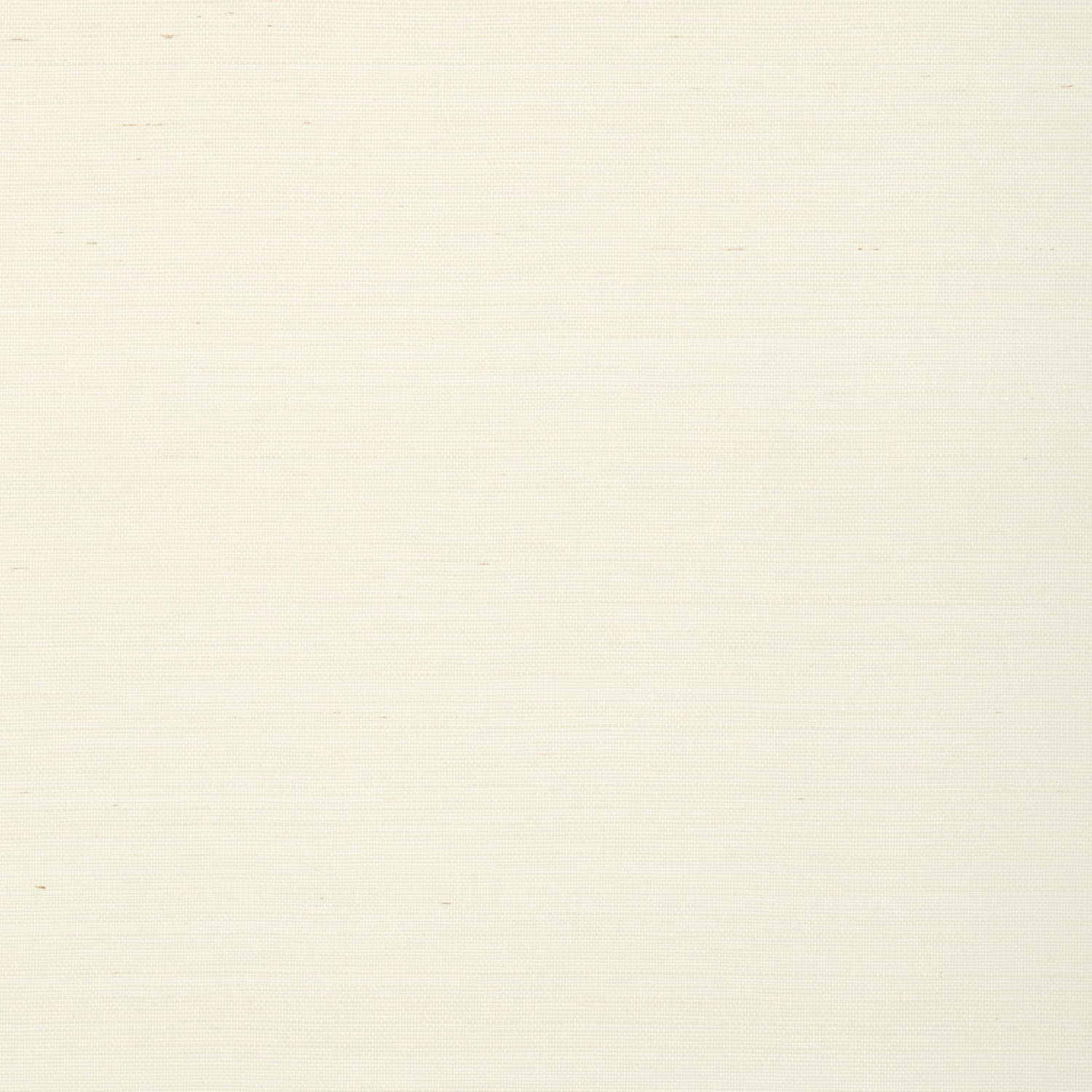 Shang Extra Fine Sisal fabric in white color - pattern number T72831 - by Thibaut in the Grasscloth Resource Volume 6 collection