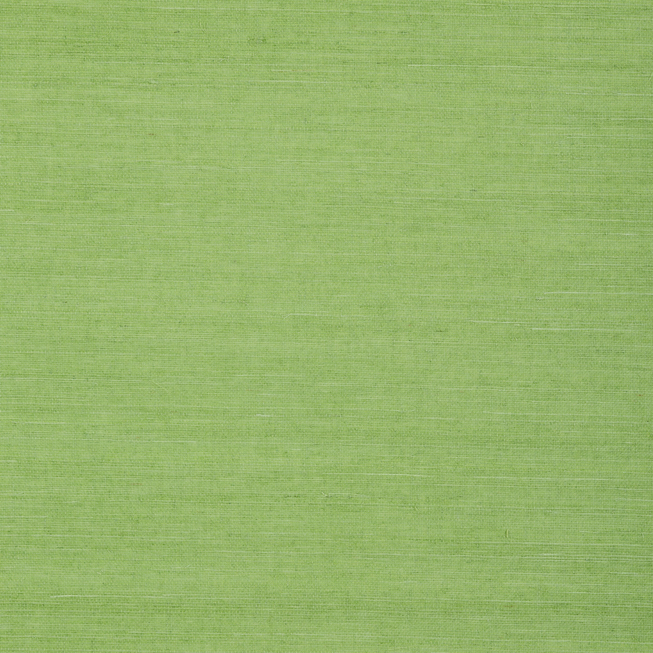 Shang Extra Fine Sisal fabric in kelly green color - pattern number T72832 - by Thibaut in the Grasscloth Resource Volume 6 collection
