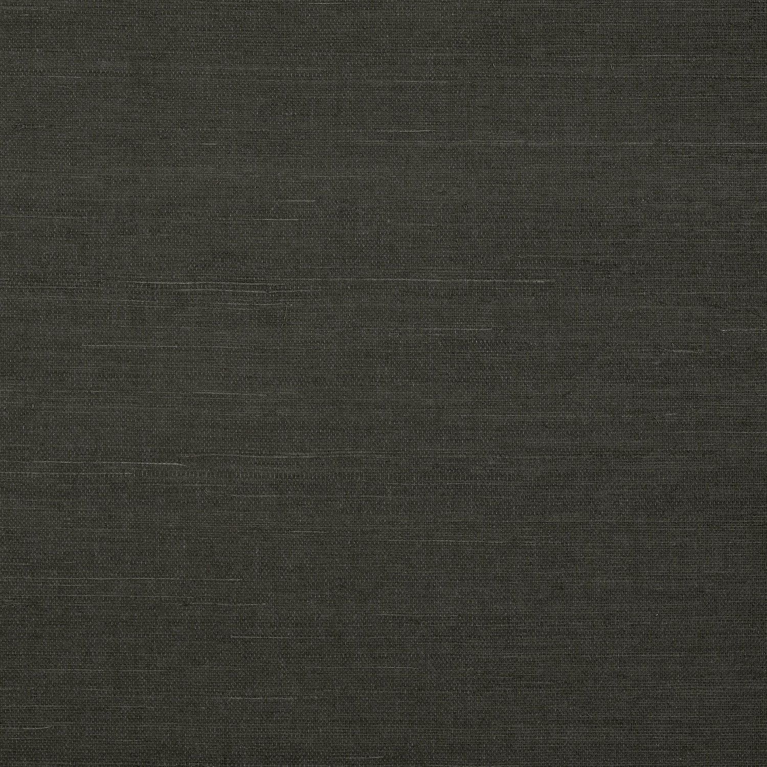 Shang Extra Fine Sisal fabric in ebony color - pattern number T72839 - by Thibaut in the Grasscloth Resource Volume 6 collection