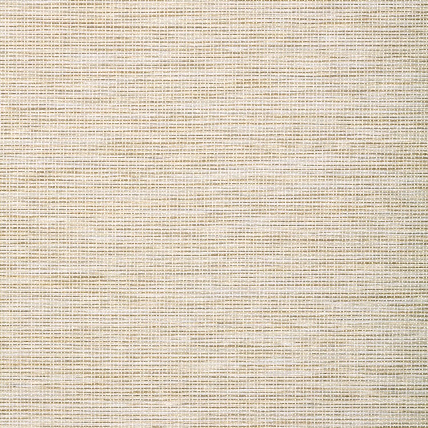 Stream Weave wallpaper in beige color - pattern number T72842 - by Thibaut in the Grasscloth Resource Volume 4 collection