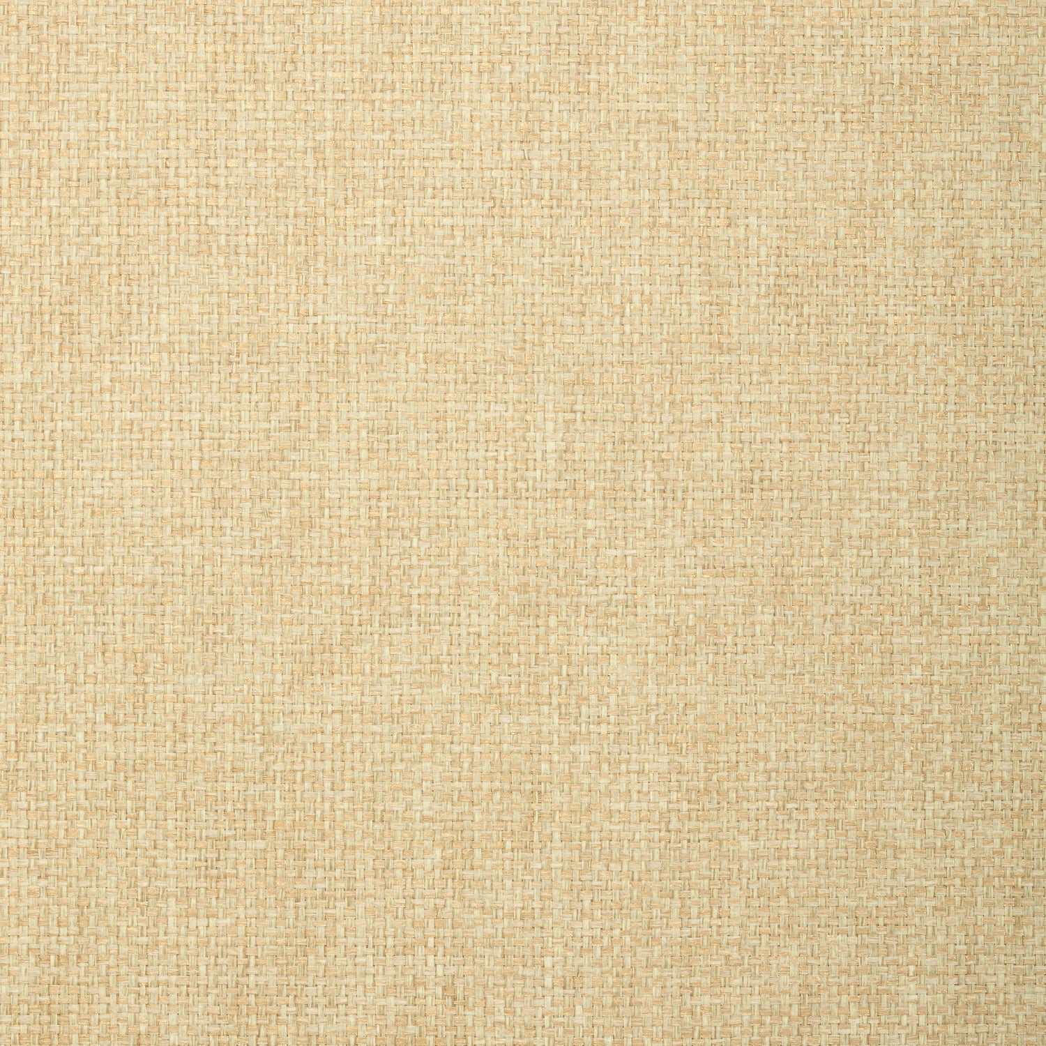 Golden Gate wallpaper in wheat color - pattern number T72868 - by Thibaut in the Grasscloth Resource Volume 4 collection